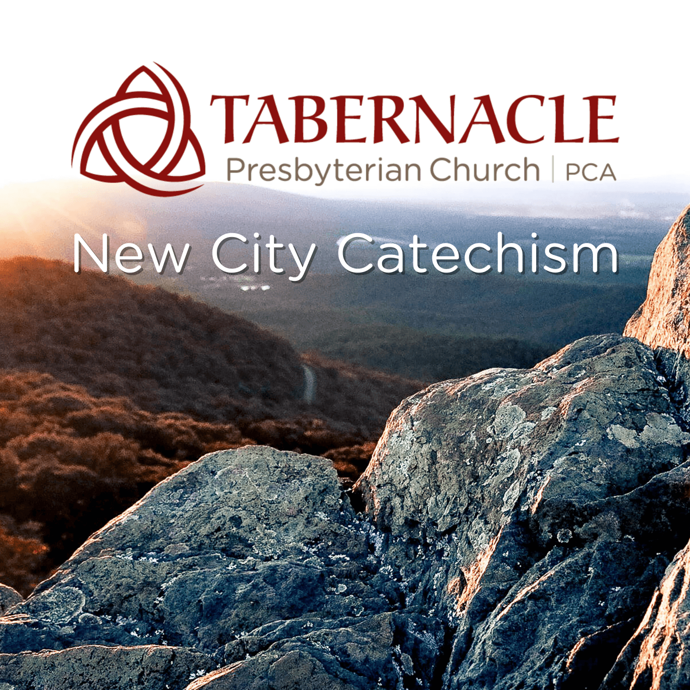 Tabernacle PCA | New City Catechism