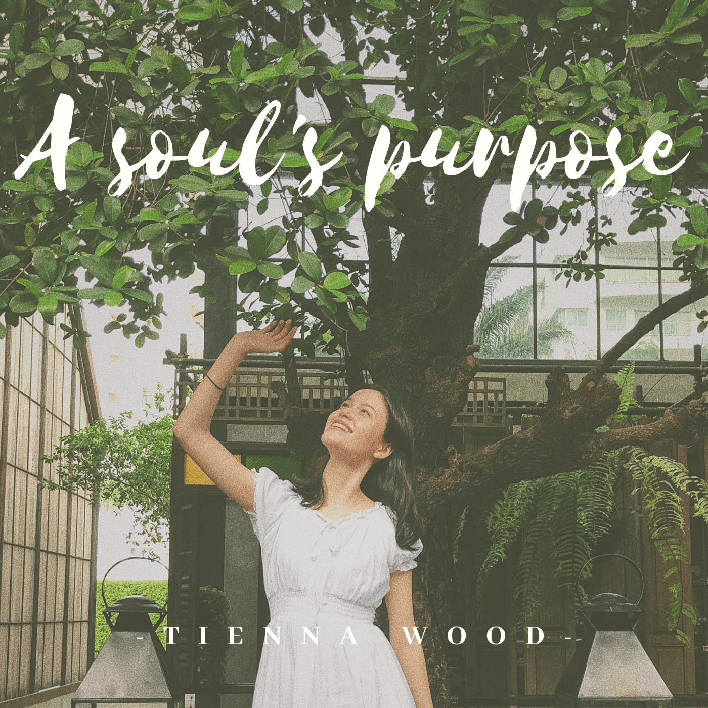 A Soul's Purpose Podcast - Podcasts
