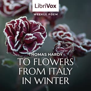 To Flowers From Italy In Winter by Thomas Hardy (1840 - 1928) - Podcasts