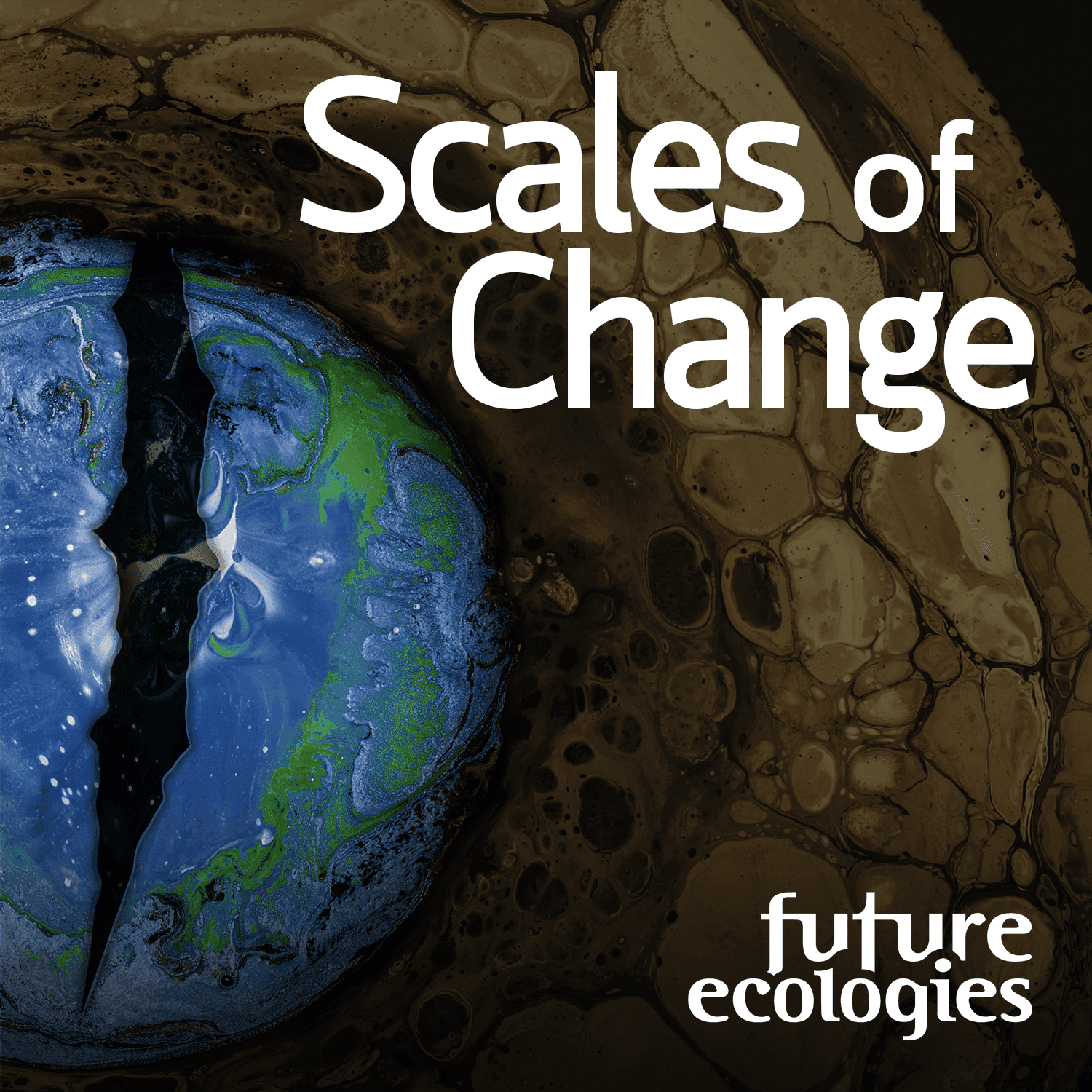 Scales of Change - Podcasts
