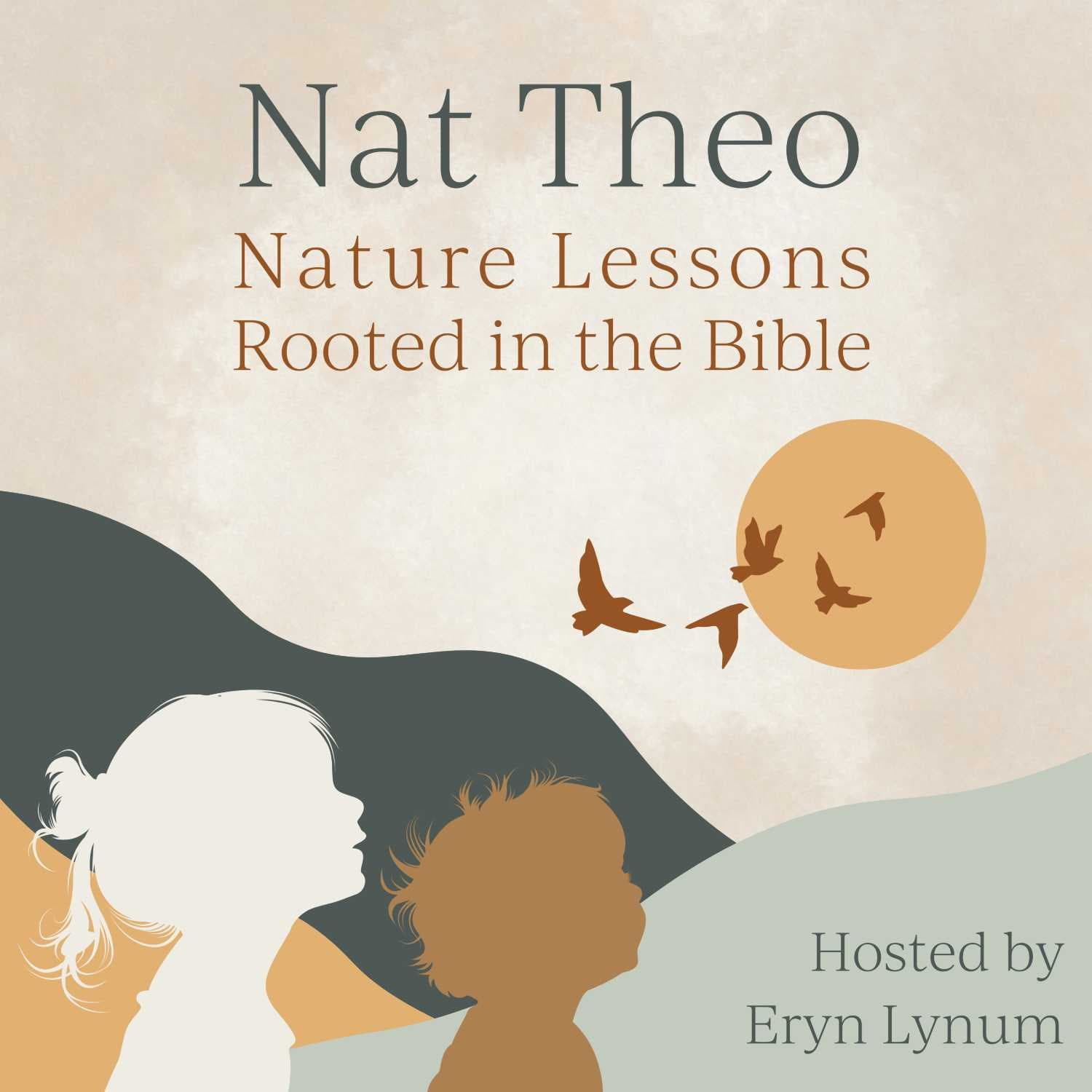 Nat Theo Nature Lessons Rooted in the Bible - Podcasts