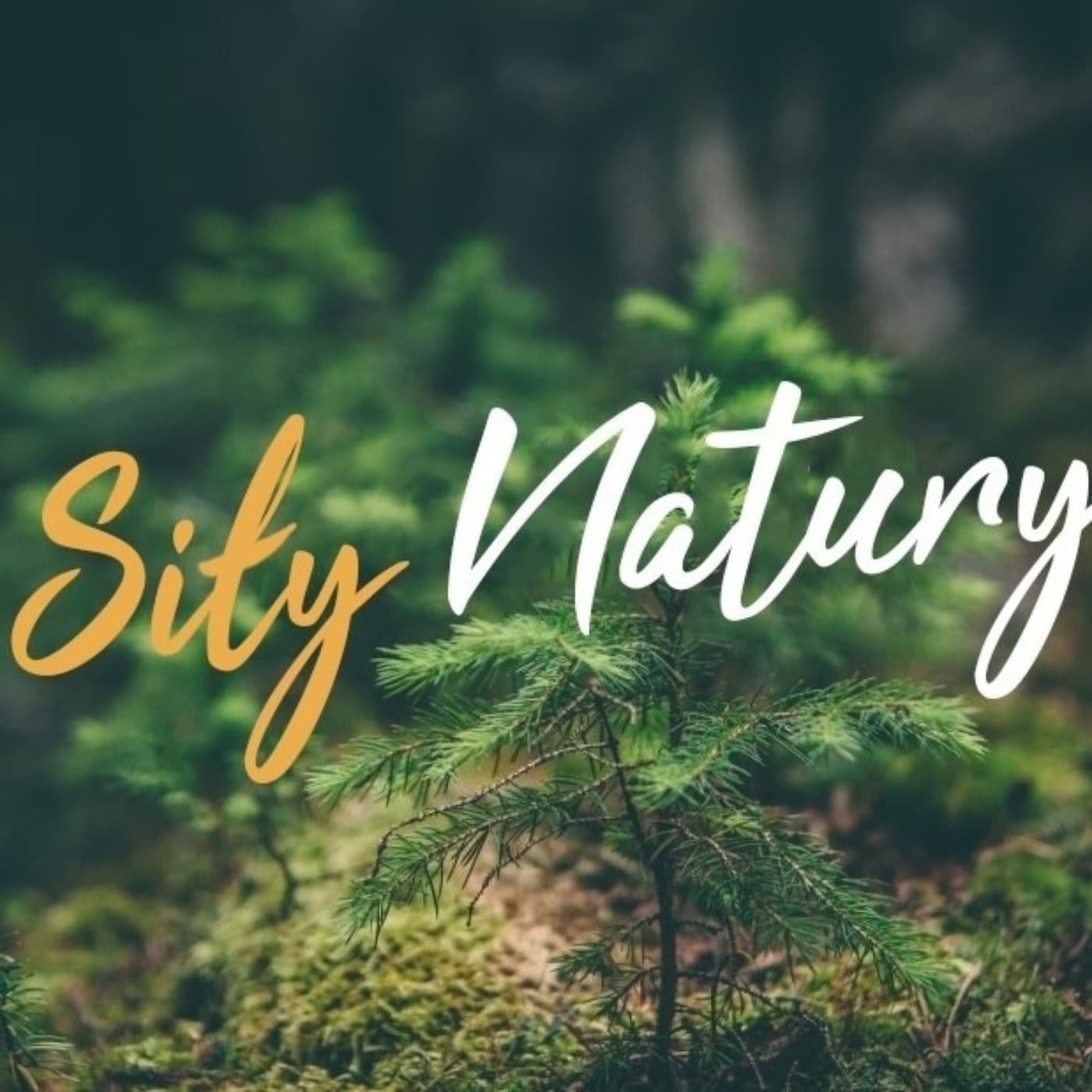 Siły Natury Blog - Podcasts