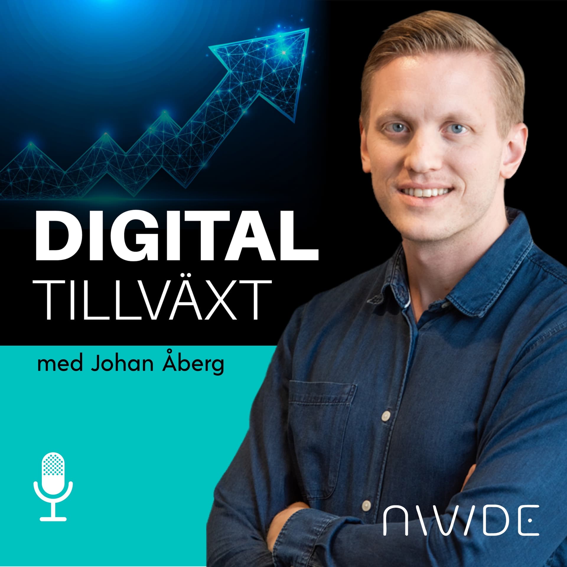 Digital tillväxt med Johan Åberg - Podcasts