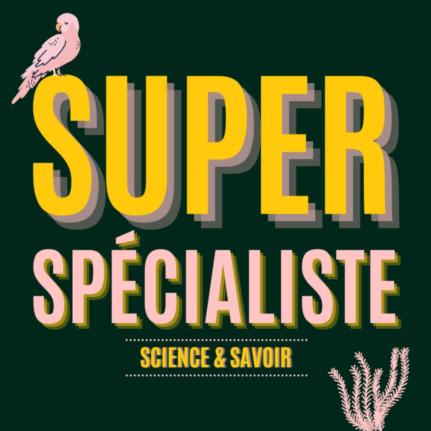 Super Spécialiste - Podcasts