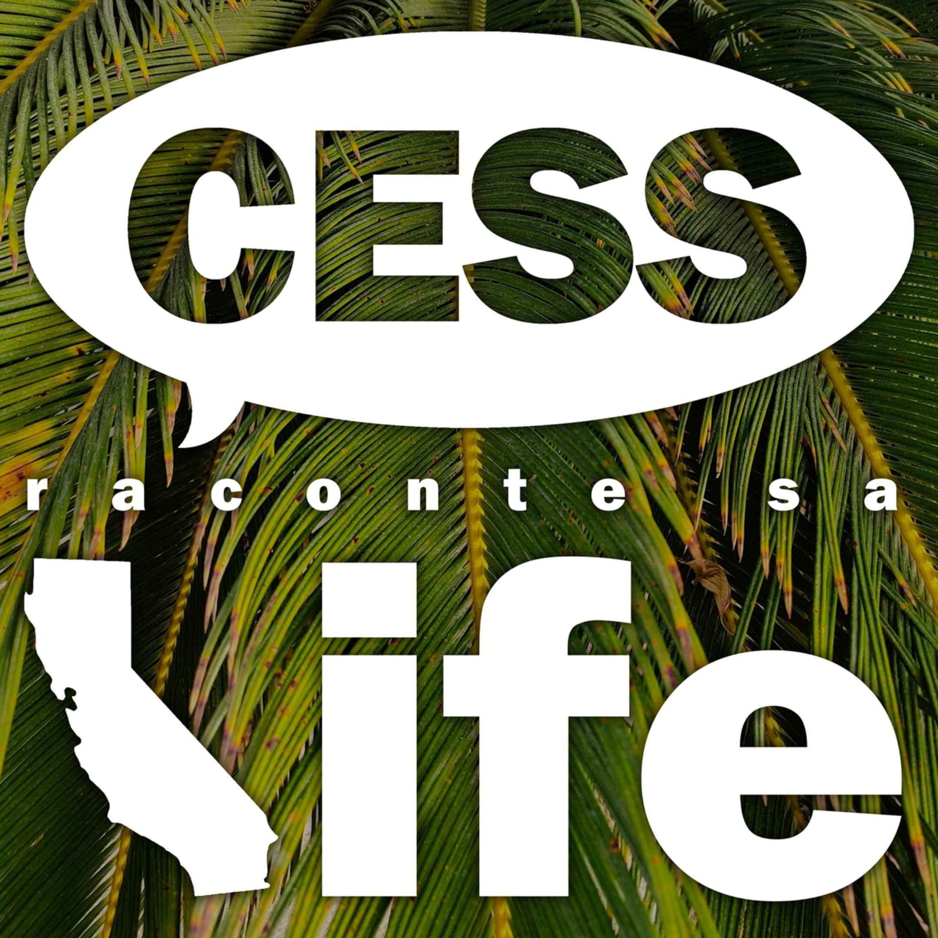 Cess raconte sa life - Podcasts