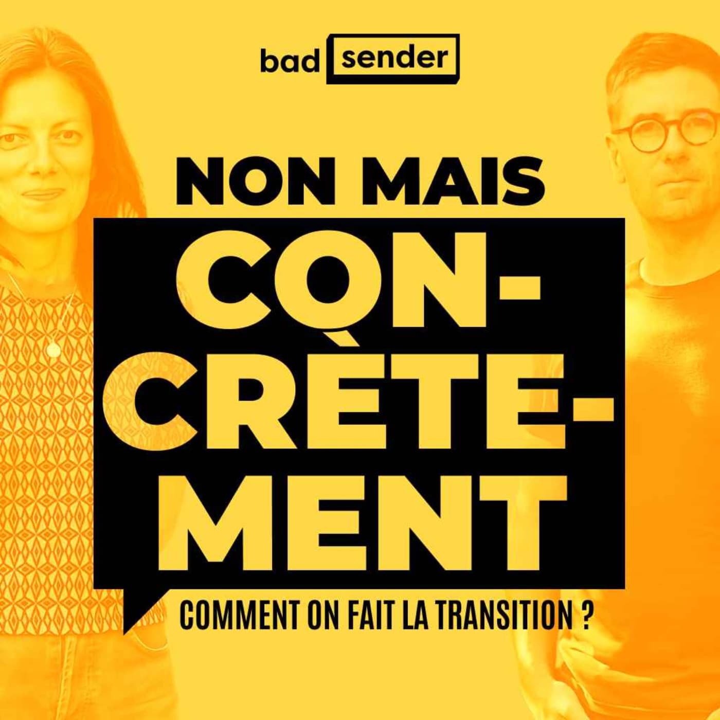 Non mais concrètement, comment on fait la transition ? ( ex: Sobriété et marketing ... Possible ?) - Podcasts