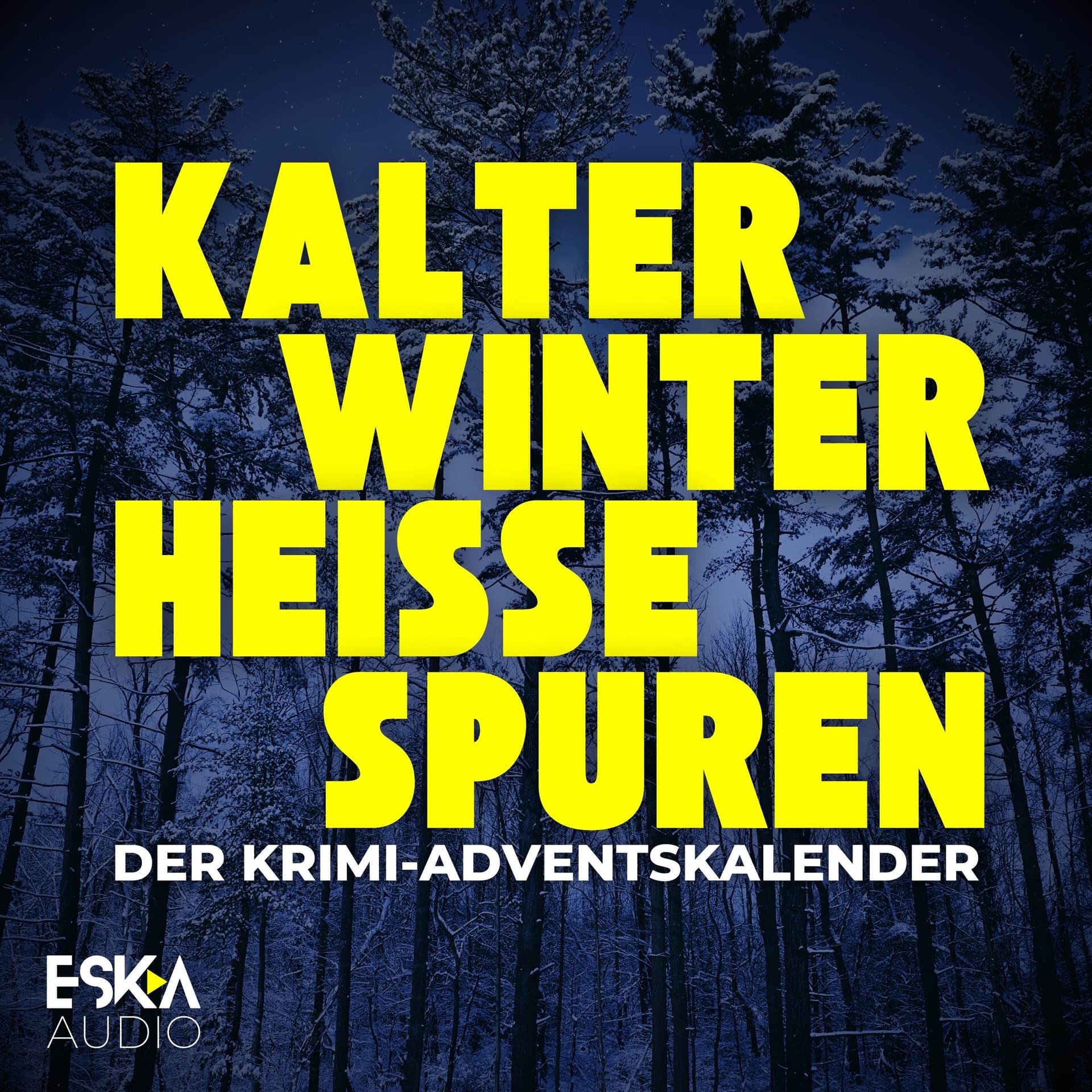 Kalter Winter, heiße Spuren – Der Krimi-Adventskalender mit Sherlock Holmes, Father Brown und Co. - Podcasts