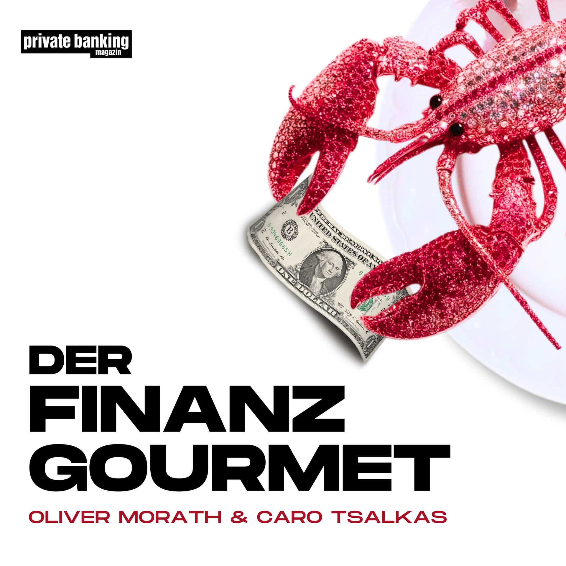 Der Finanz-Gourmet - Podcasts