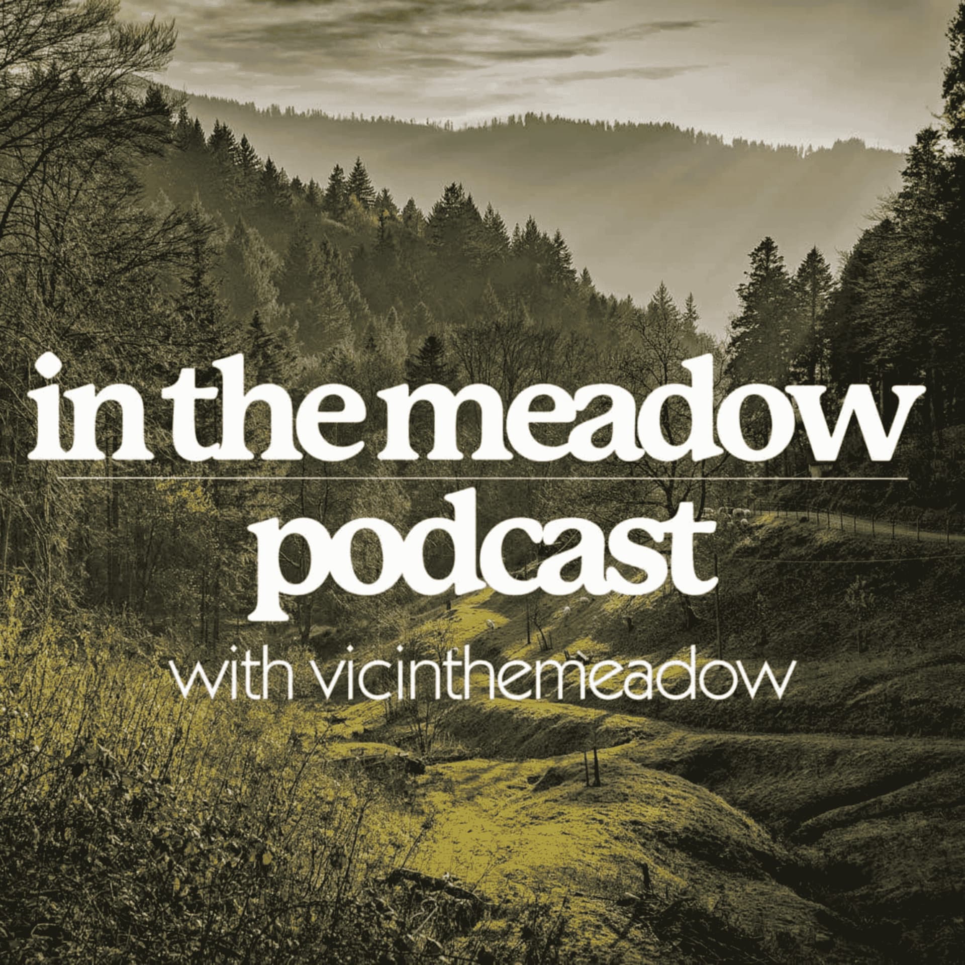 in the meadow - Podcasts