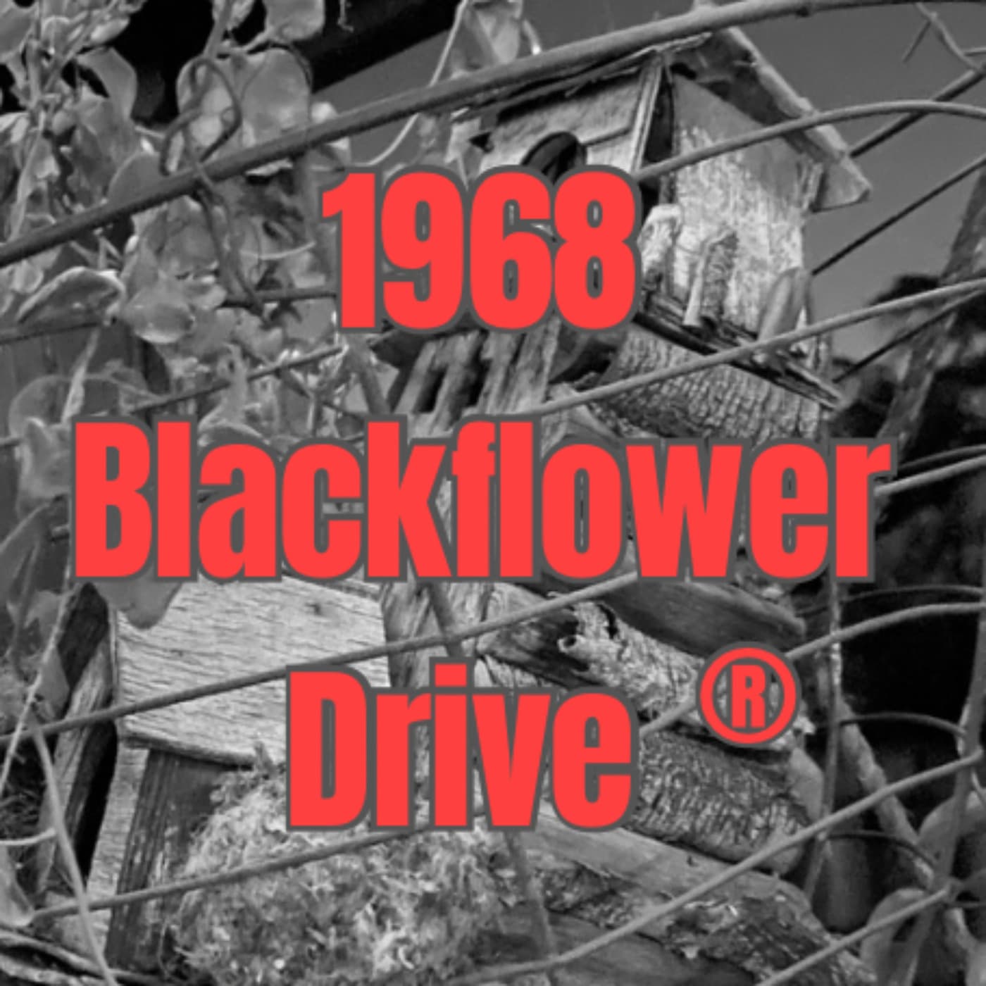 1968 Blackflower Drive - Podcasts