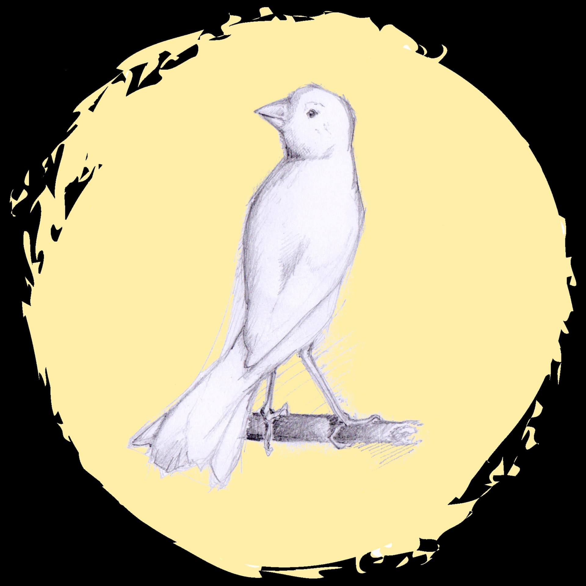 L'Arte del Sensibile - Podcasts