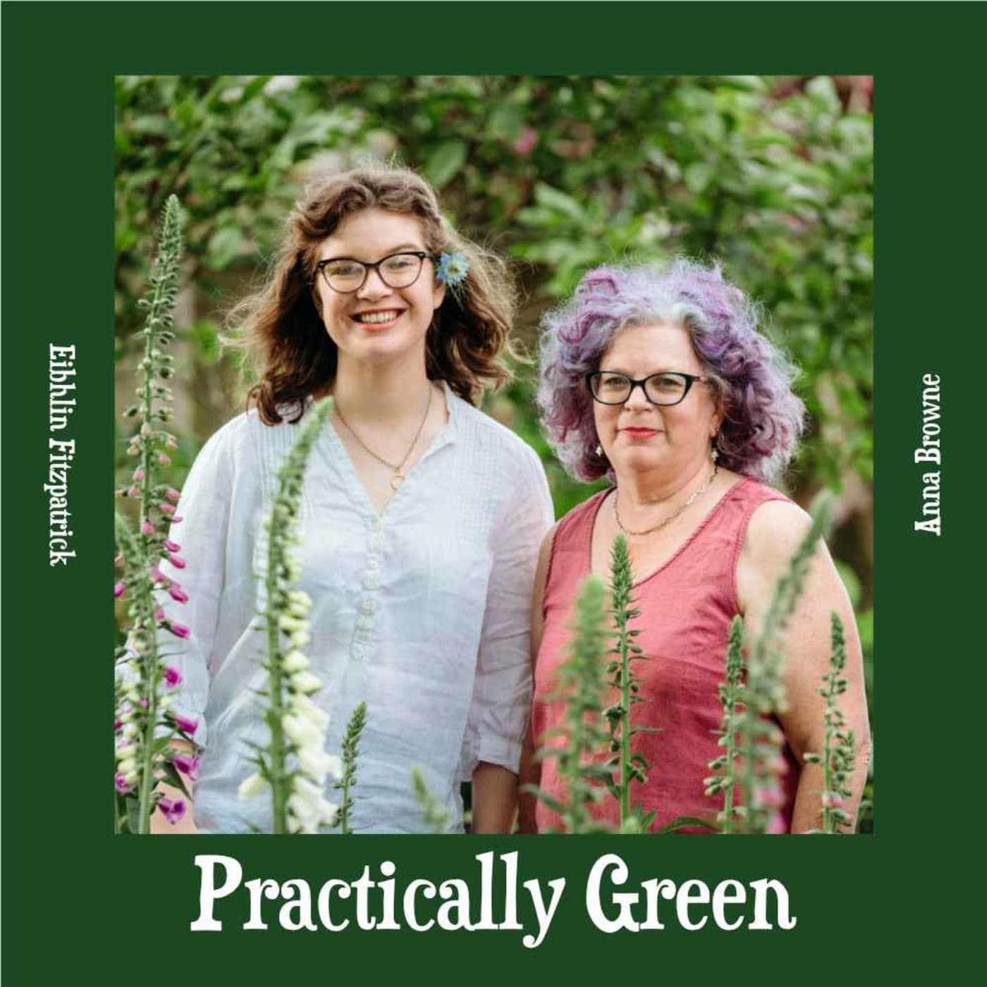 Practically Green - Podcasts