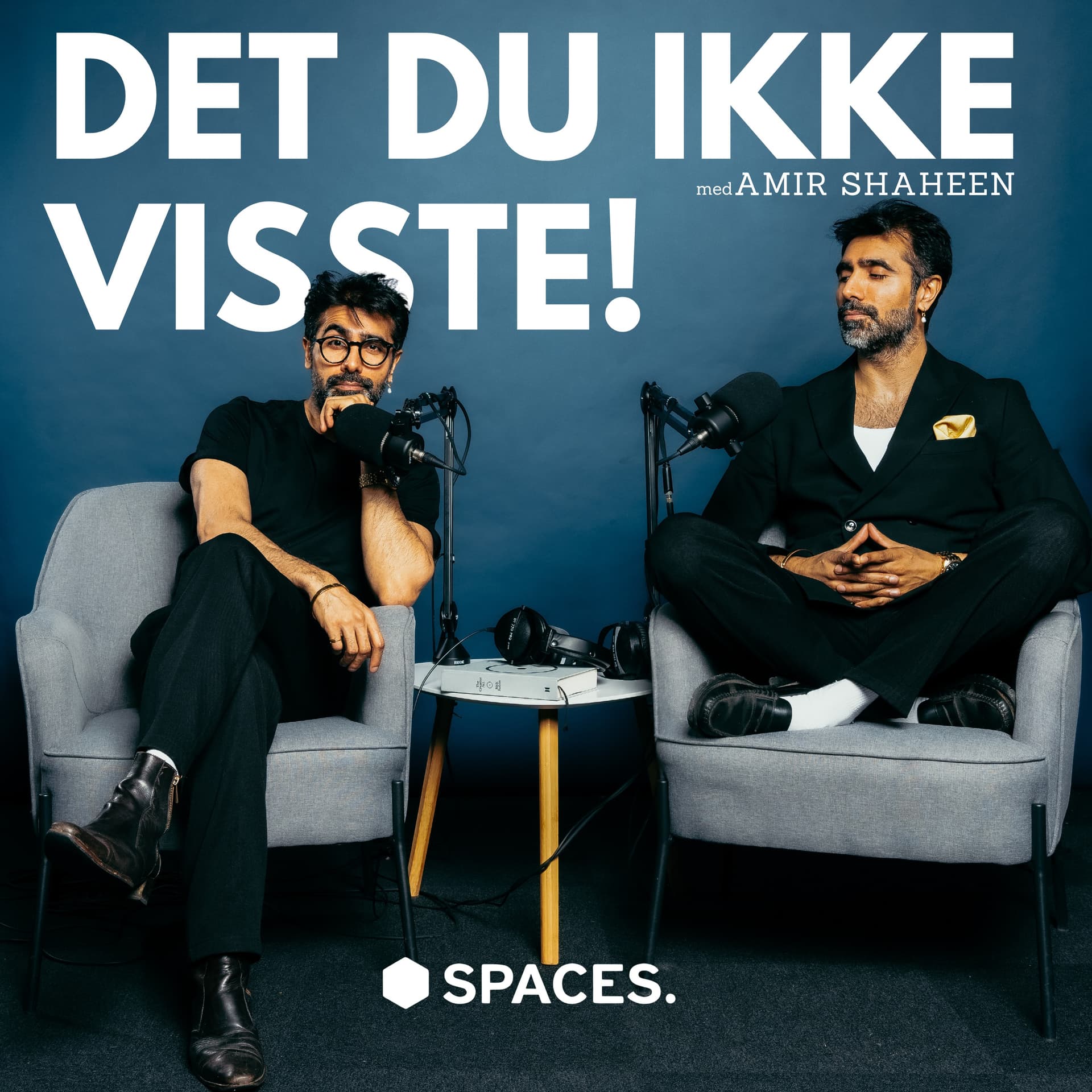 DET DU IKKE VISSTE! - Podcasts