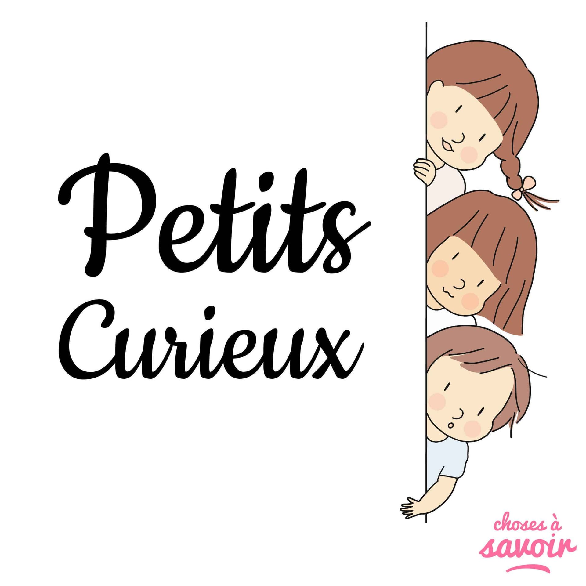 Petits Curieux - Podcasts