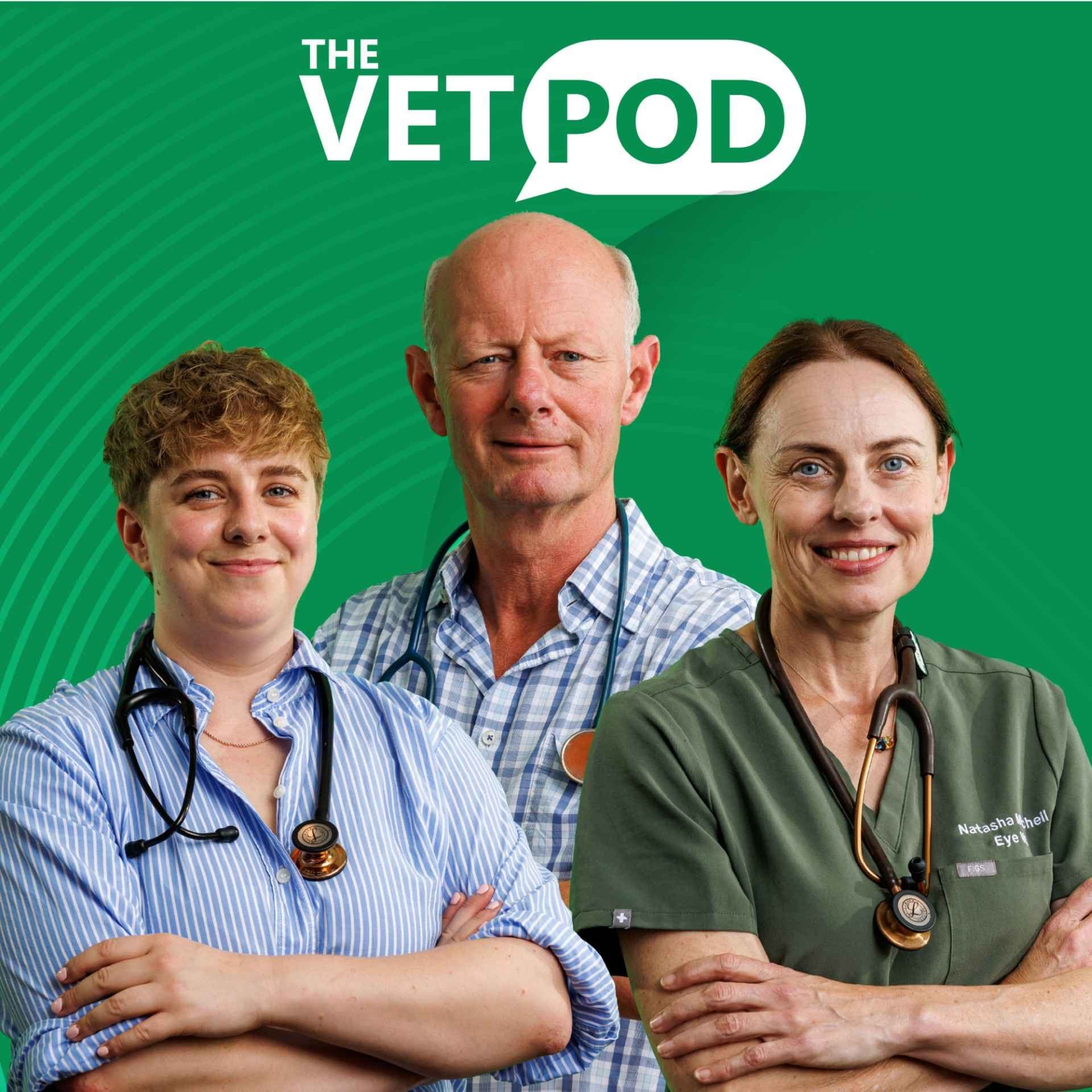 The Vet Pod - Podcasts