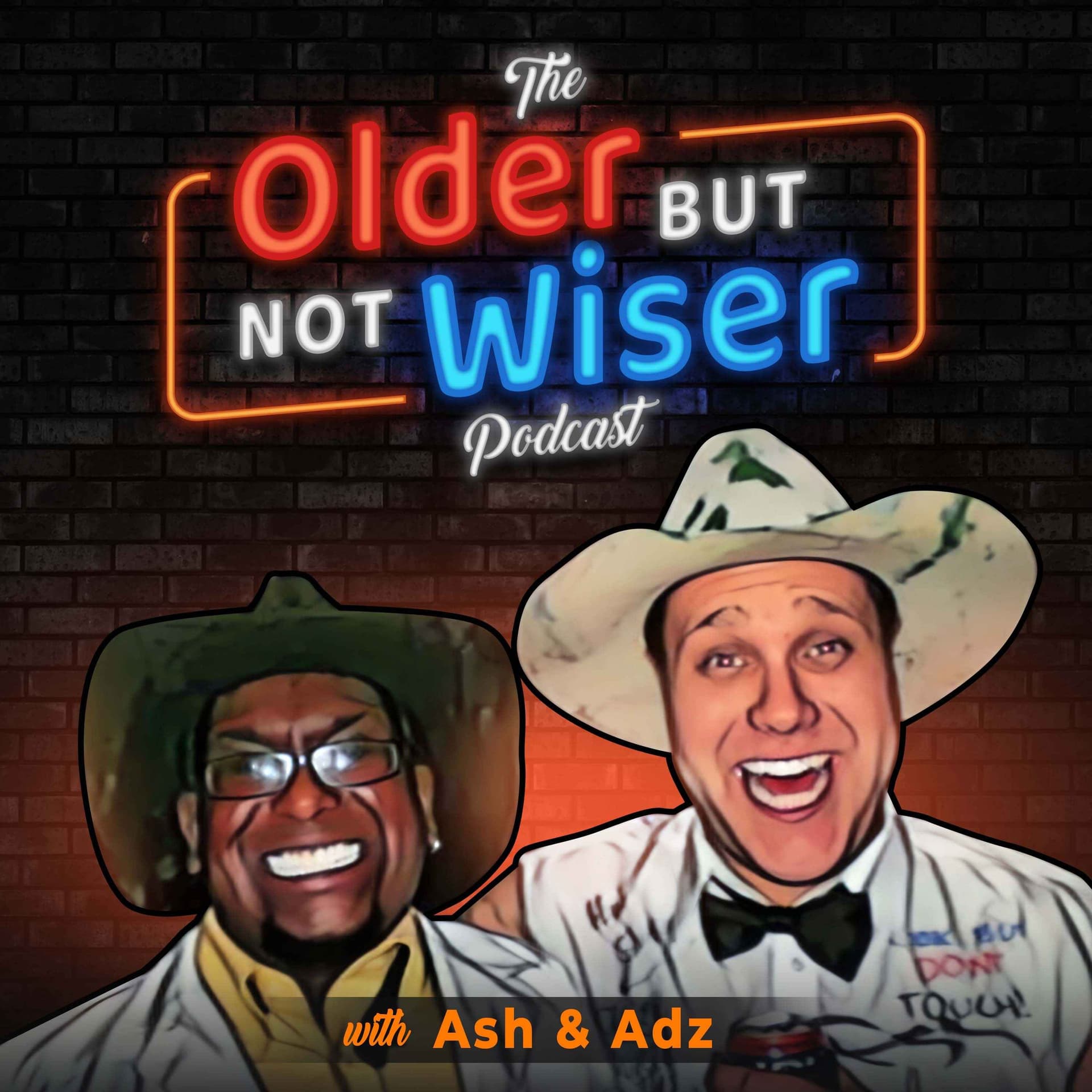 The Older but not Wiser Podcast - Podcasts