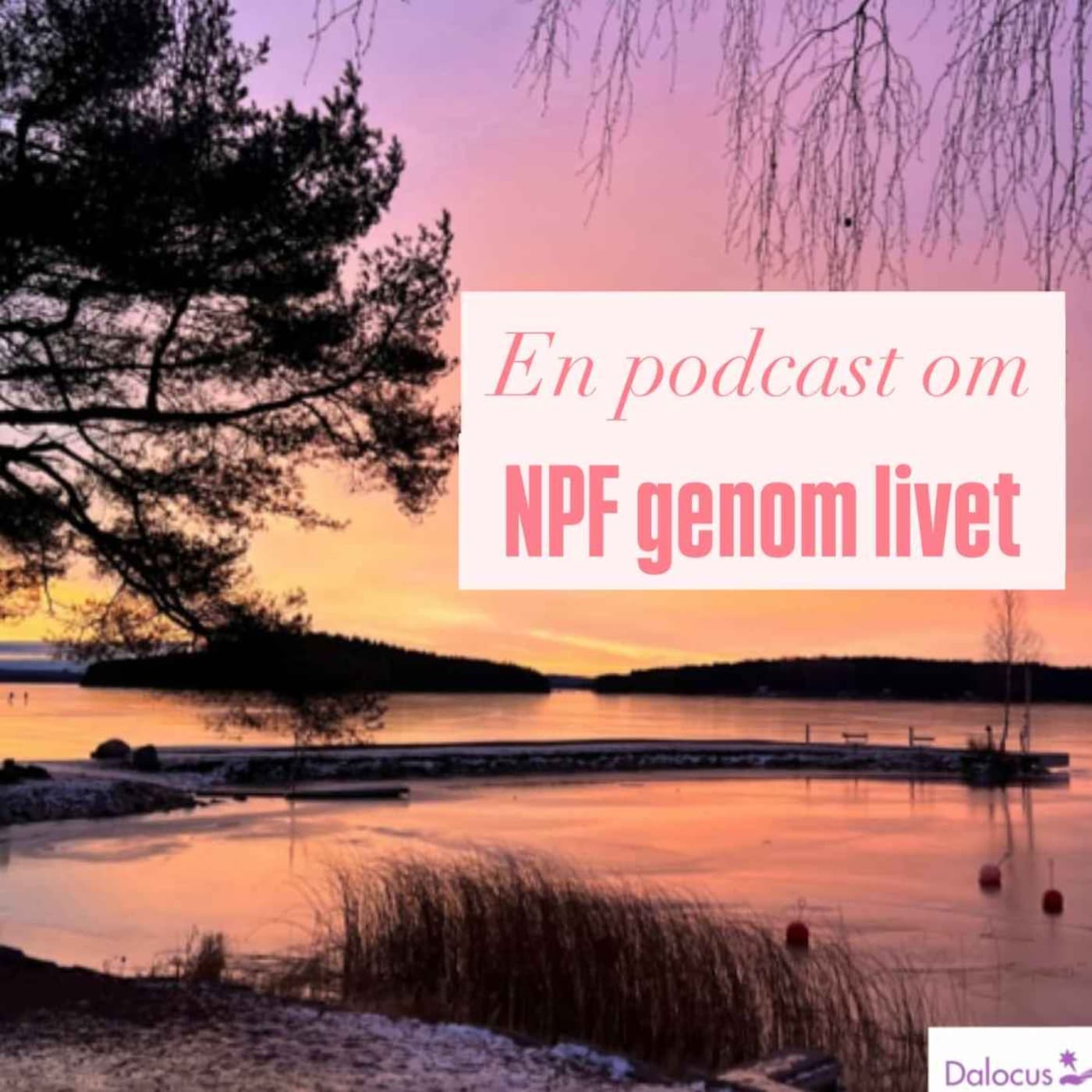 NPF genom livet - Podcasts
