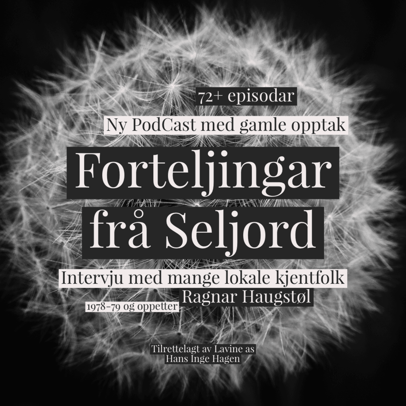 Forteljingar frå Seljord - Podcasts
