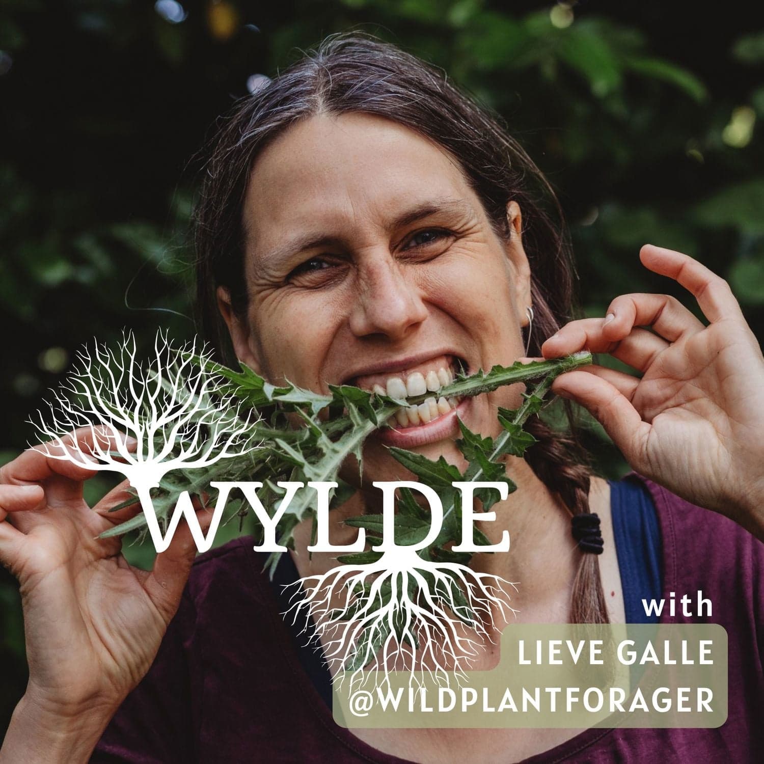 WYLDE, the podcast about foraging and herbalism in Europe - Podcasts