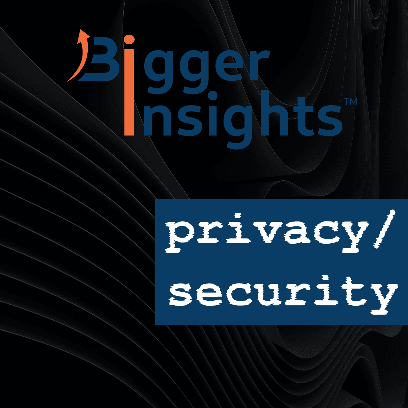 Bigger Insights Privacy & Security - Podcasts
