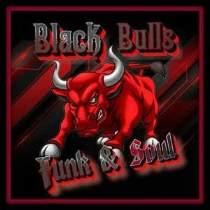 Blackbulls - Germany Live Radio