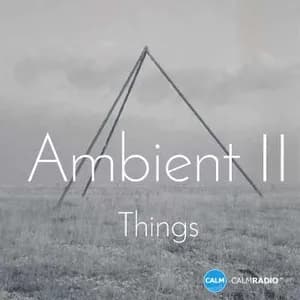 CALM RADIO Ambient II Things