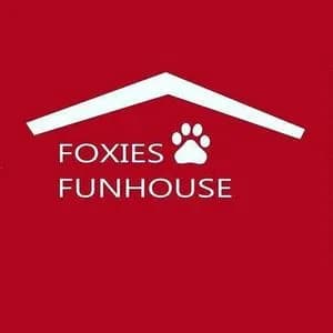 foxies-funhouse