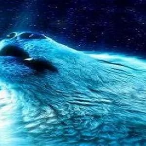 Partywolf - Germany Live Radio