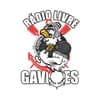 Rádio Livre Gaviões - Brazil Live Radio
