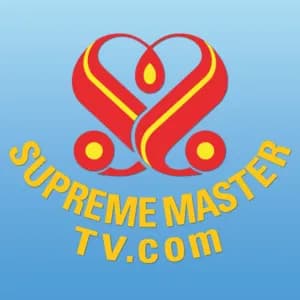 SupremeMasterTV