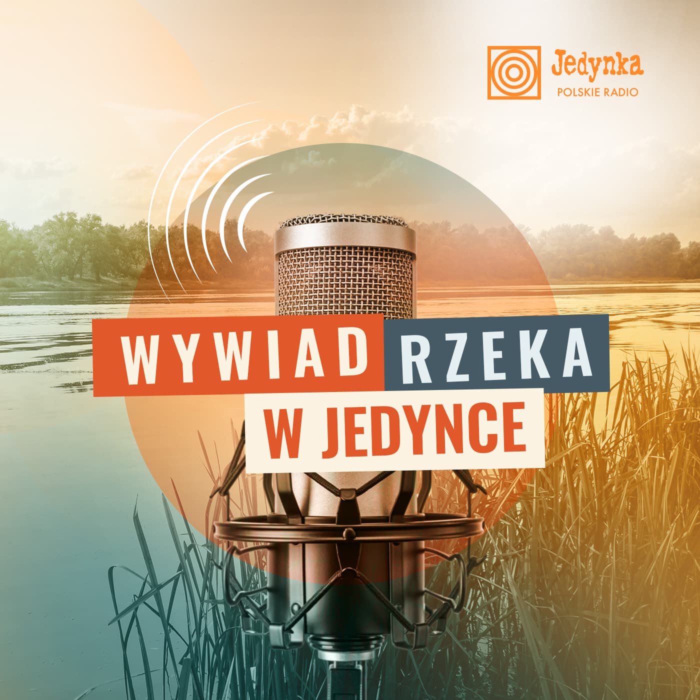 Wywiad rzeka w Jedynce - Podcasts