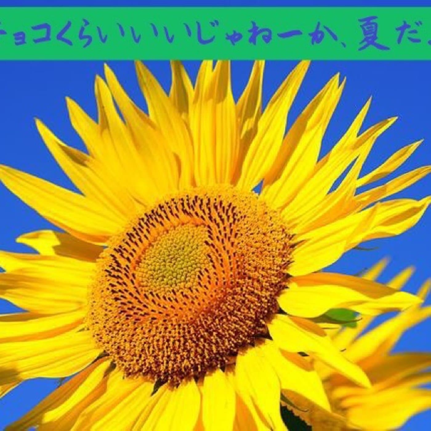 インタビューアライブ 世代を超えたフレキシブルパス - Podcasts