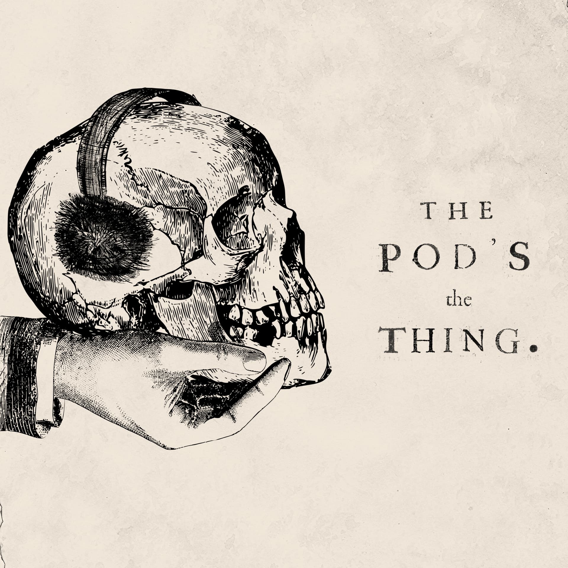 Pod's The Thing - Podcasts