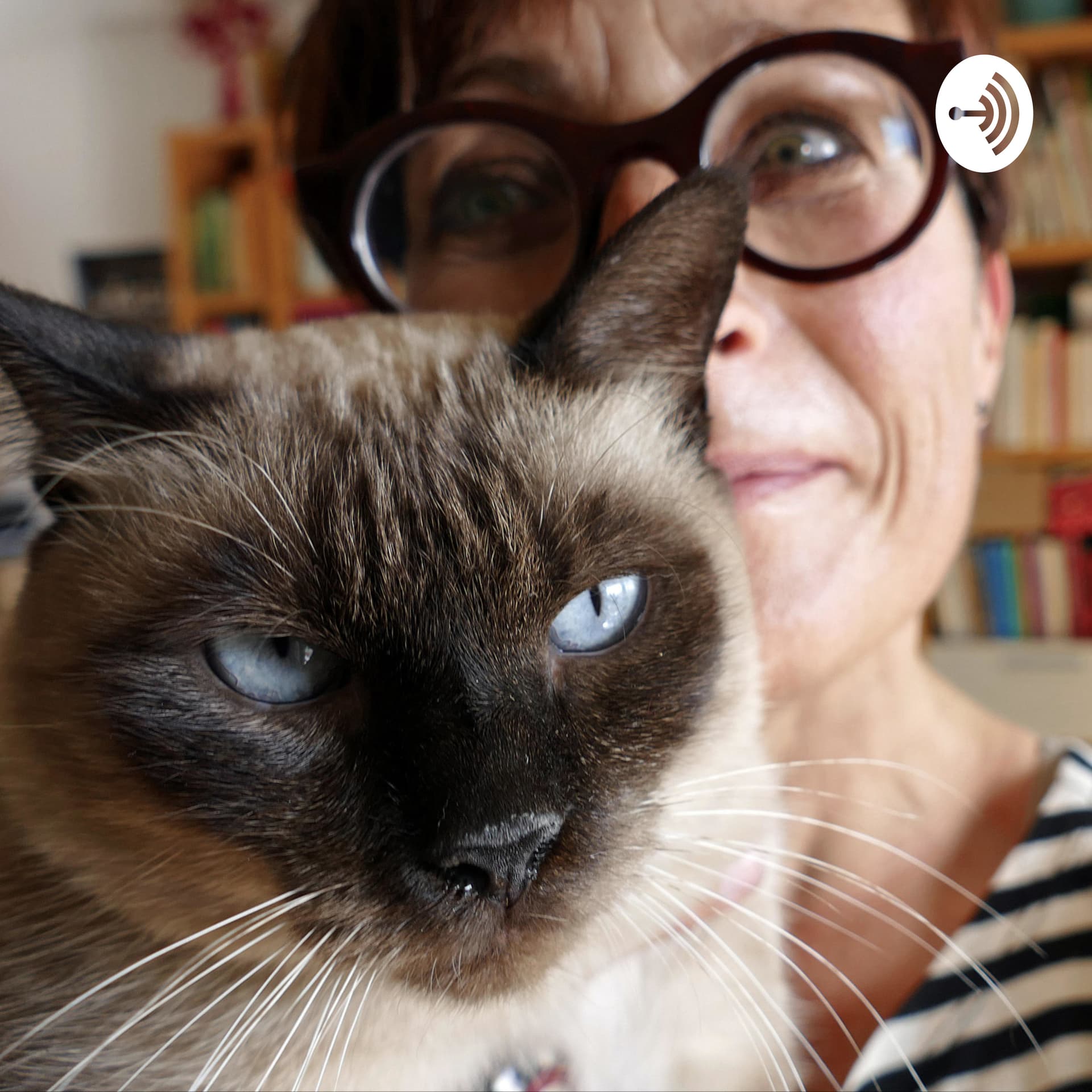 Cat Brain - Podcasts