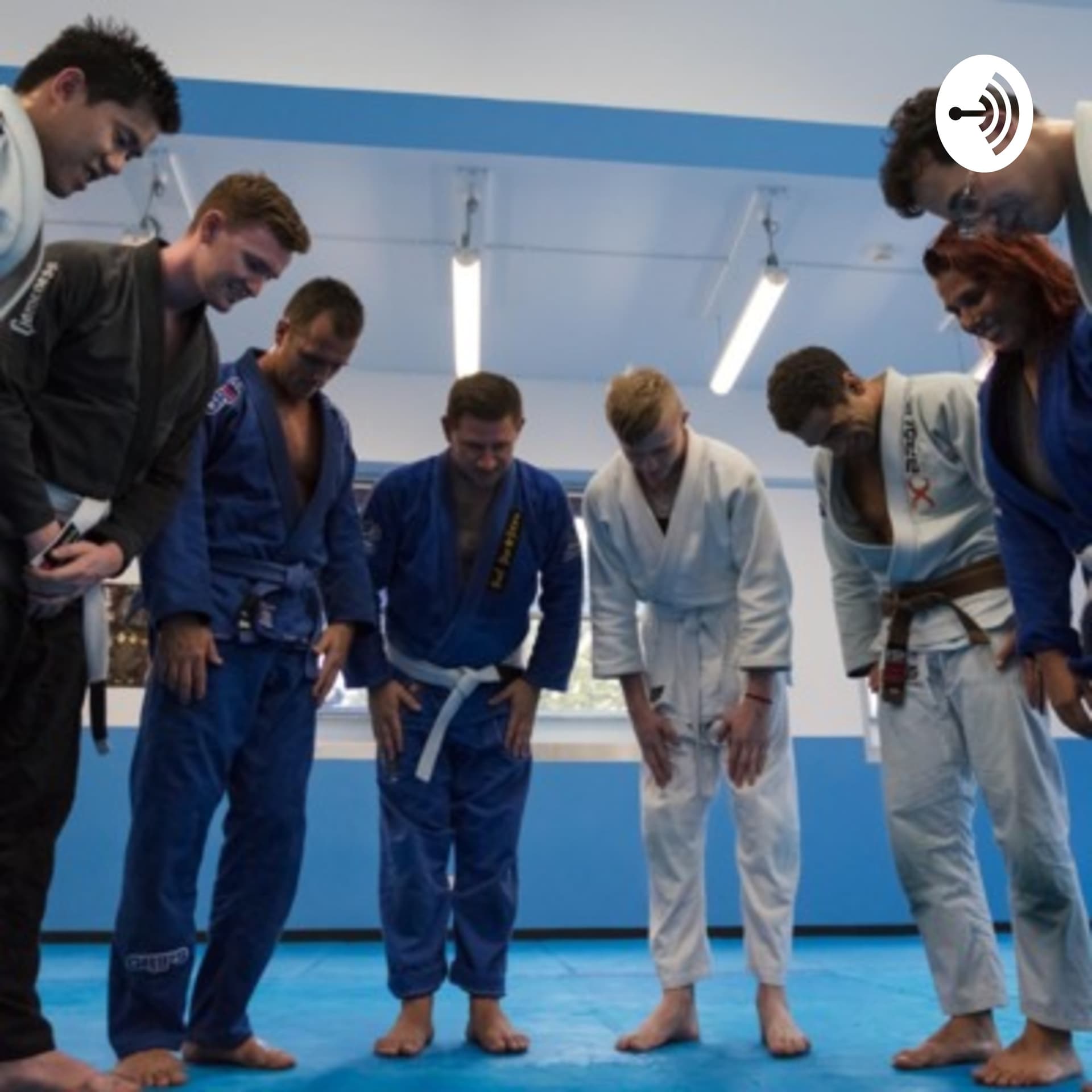 Higher Jiu Jitsu Stories Show - Podcasts