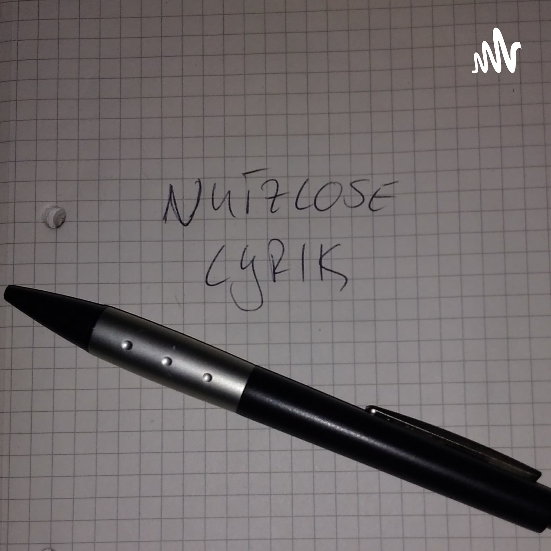 Nutzlose Lyrik - Podcasts