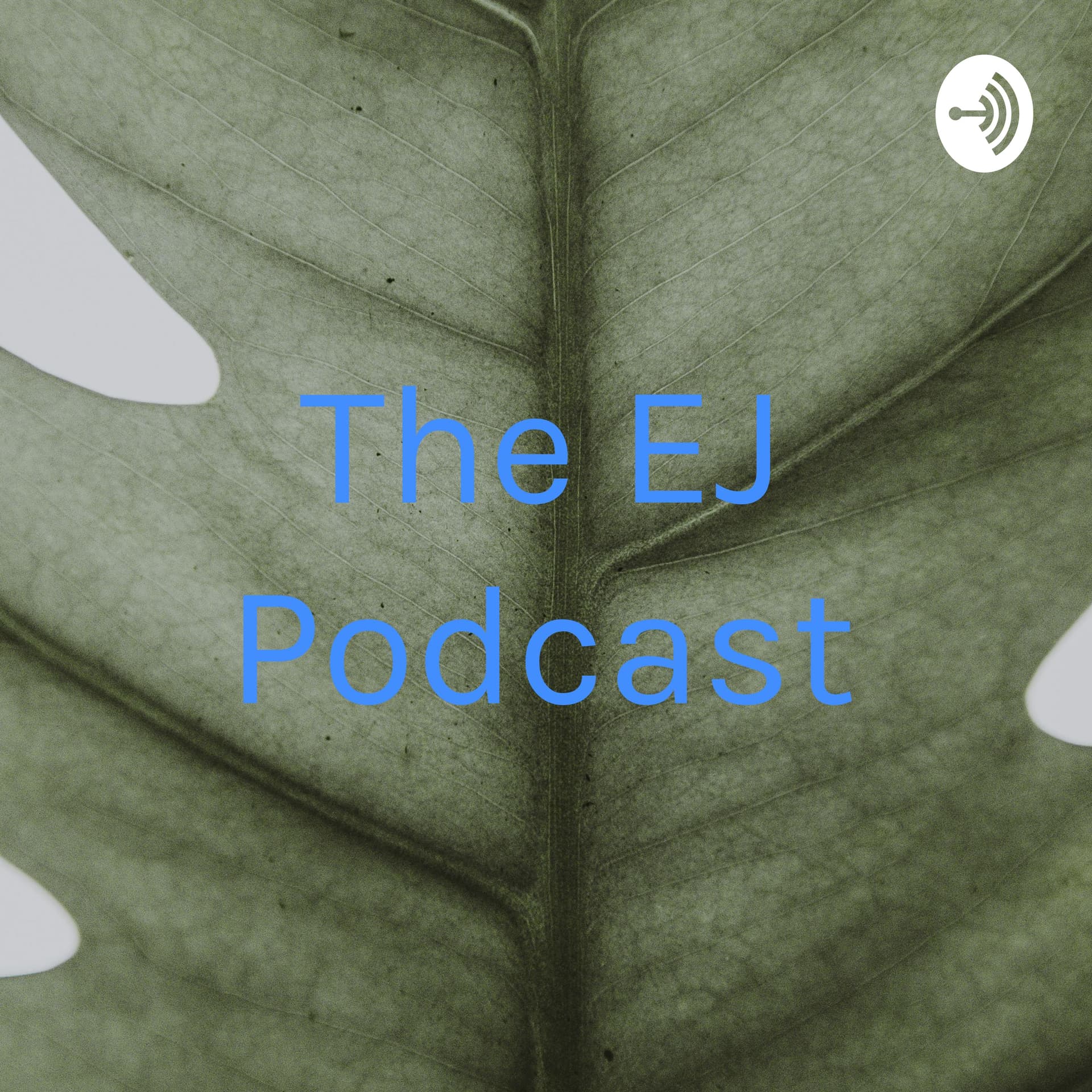 The EJ Podcast - Podcasts