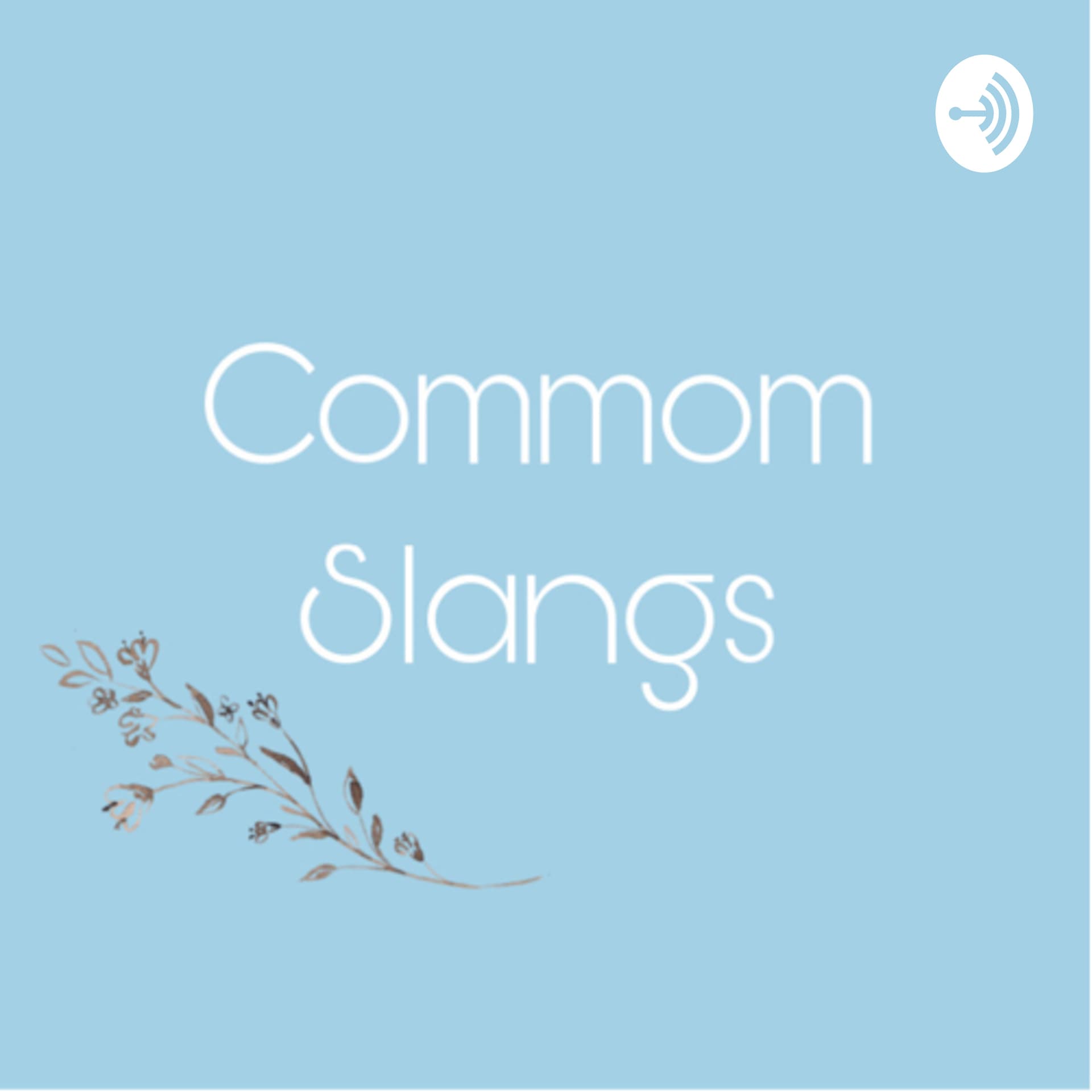 COMMOM SLANGS - Podcasts