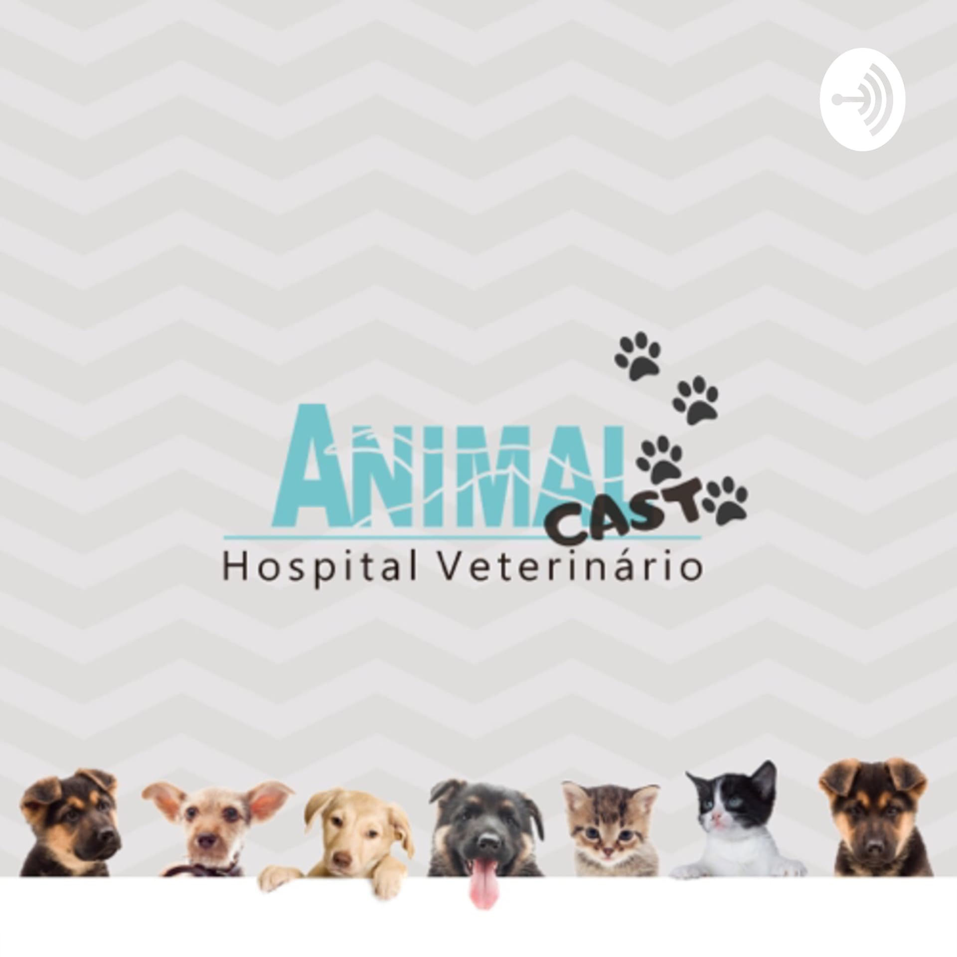 Animal Cast - Podcasts