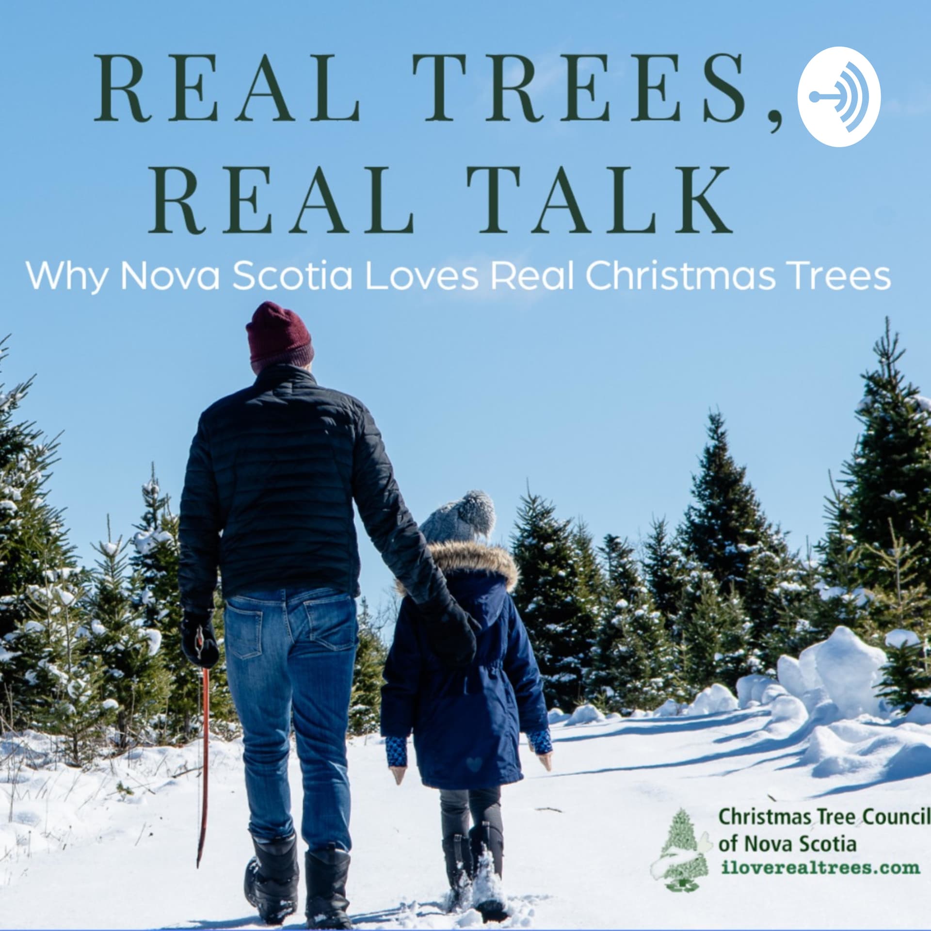 Real Trees, Real Talk - Why Nova Scotia Loves Real Christmas Trees - Podcasts