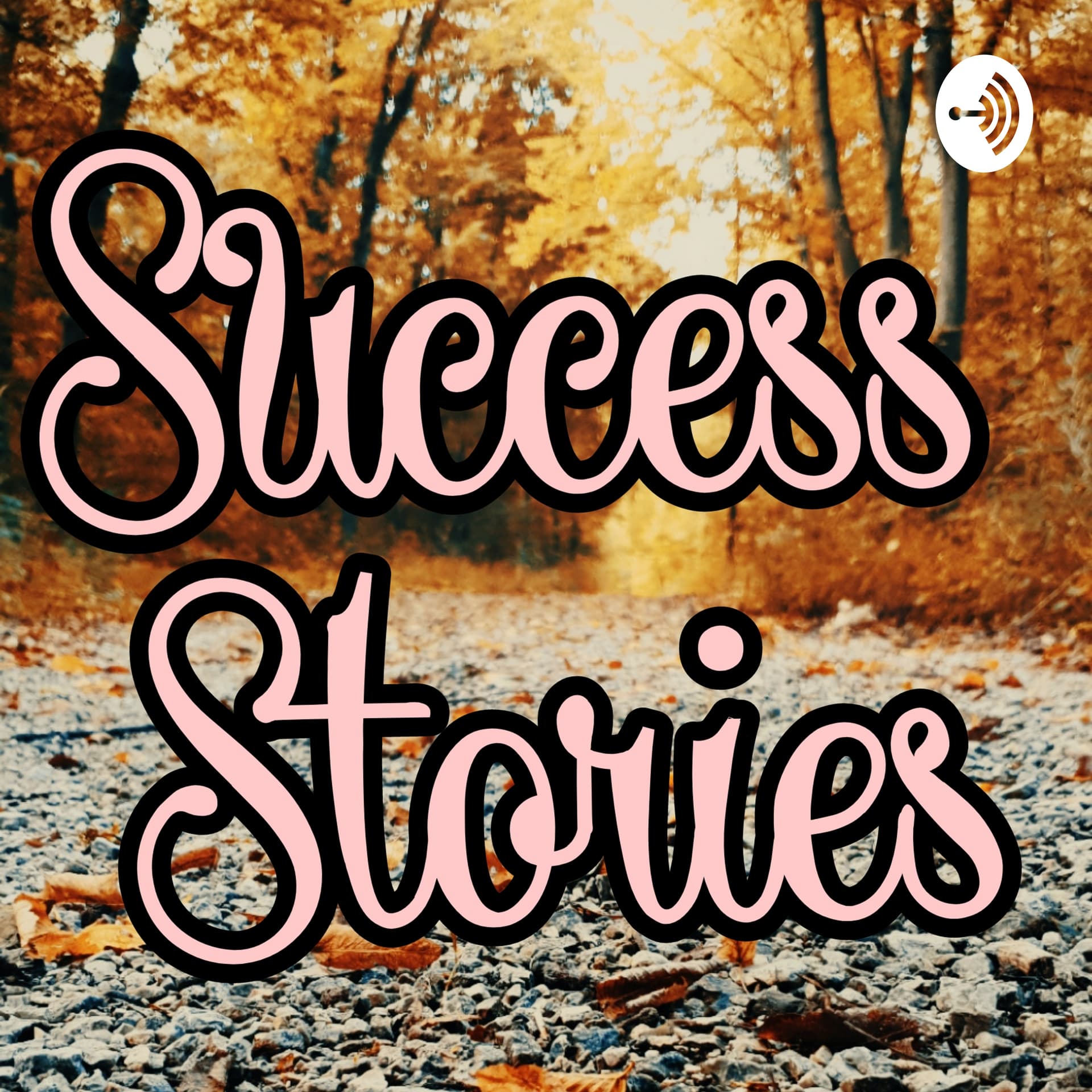 Dhamakedar Success Stories In Hindi - Podcasts