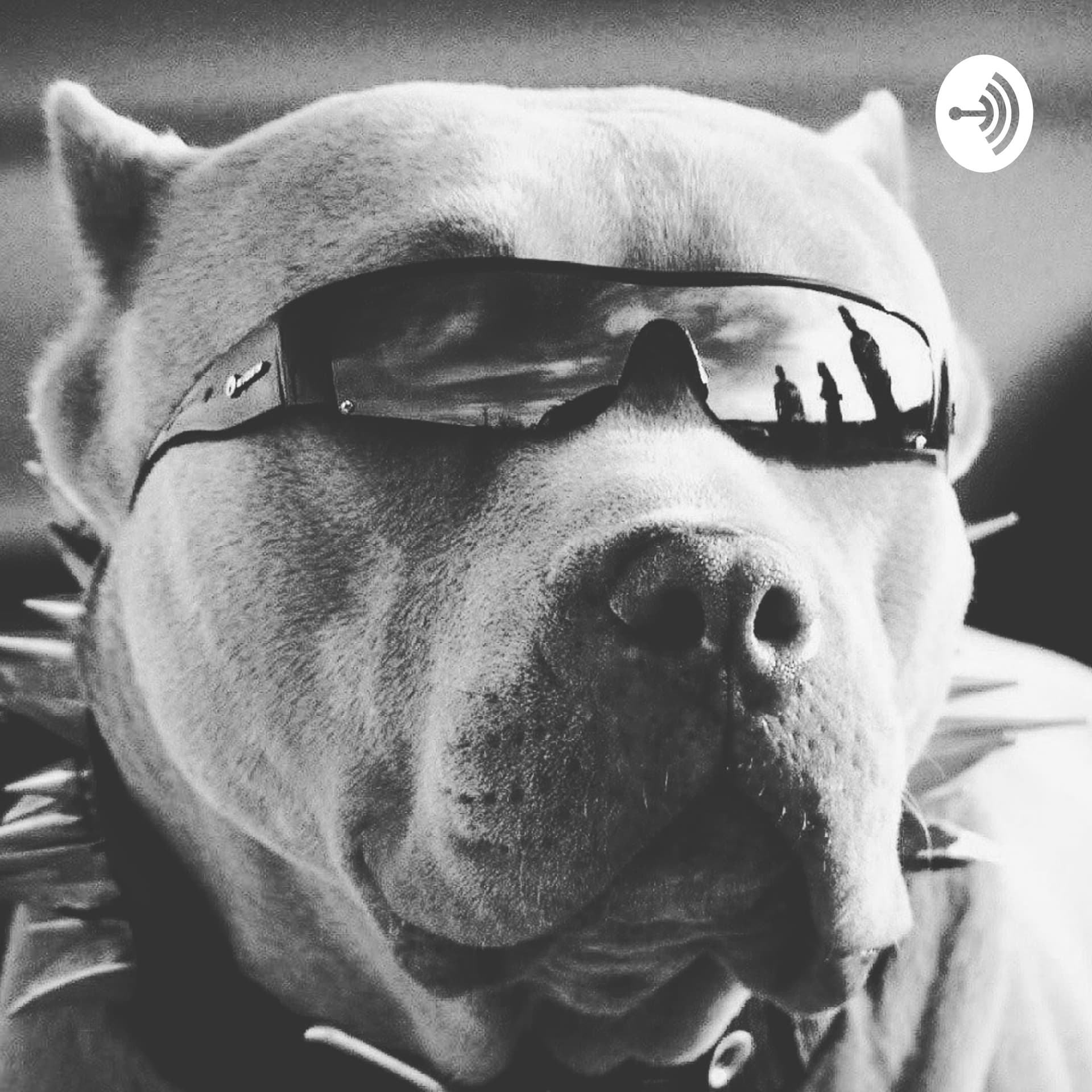 AXLE STEEL RADIO SHOW - Podcasts