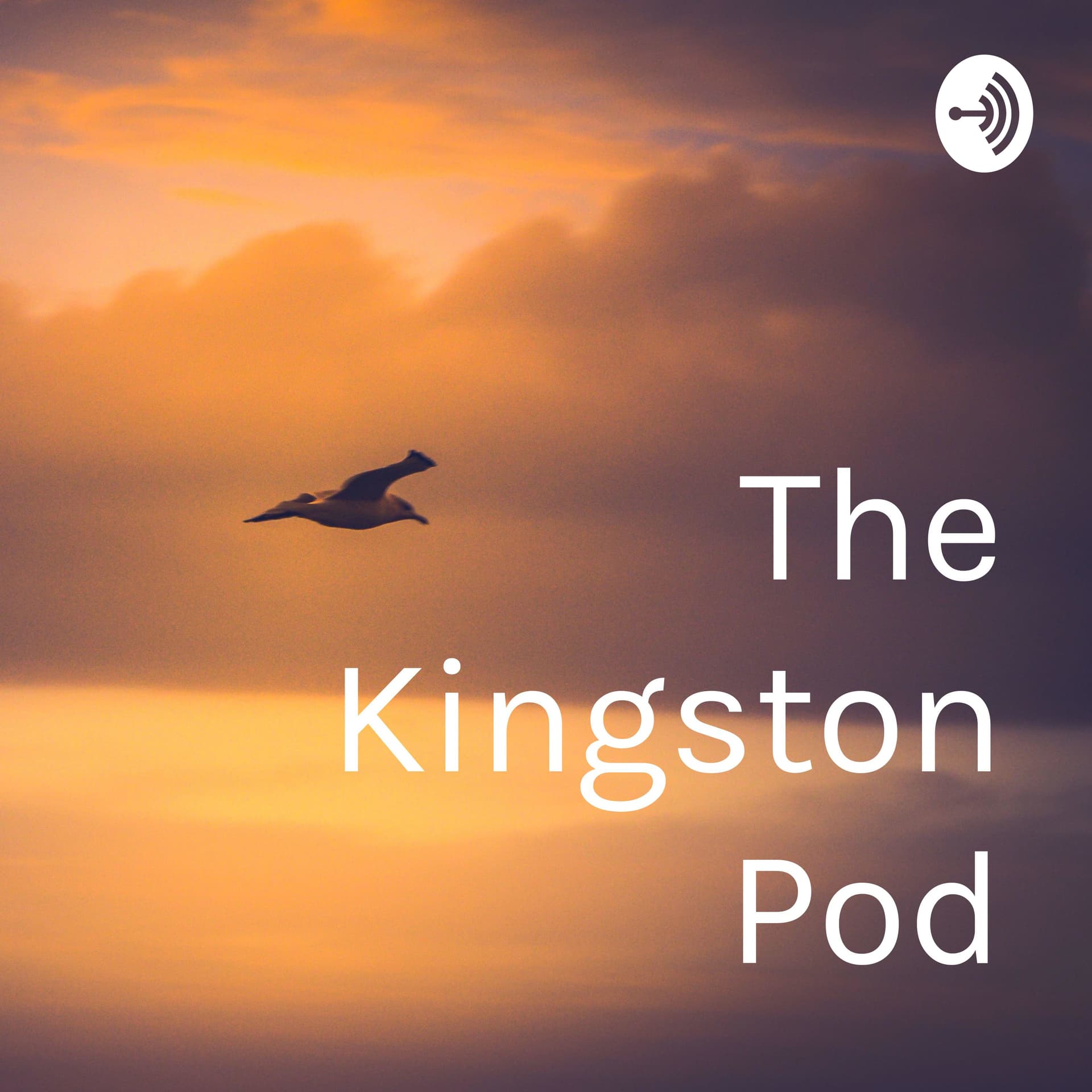 The Kingston Pod - Podcasts