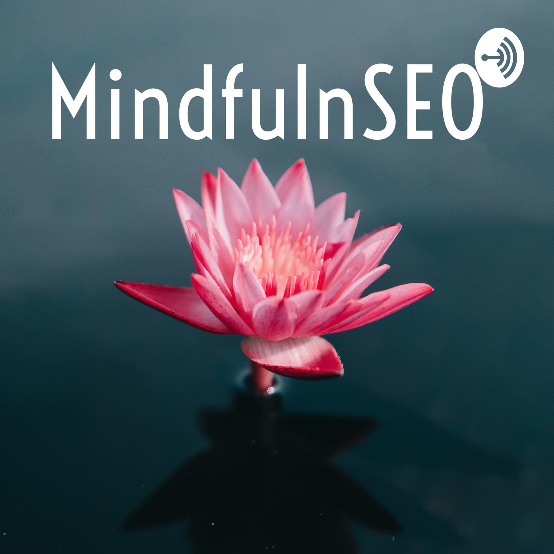 MindfulnSEO - Podcasts