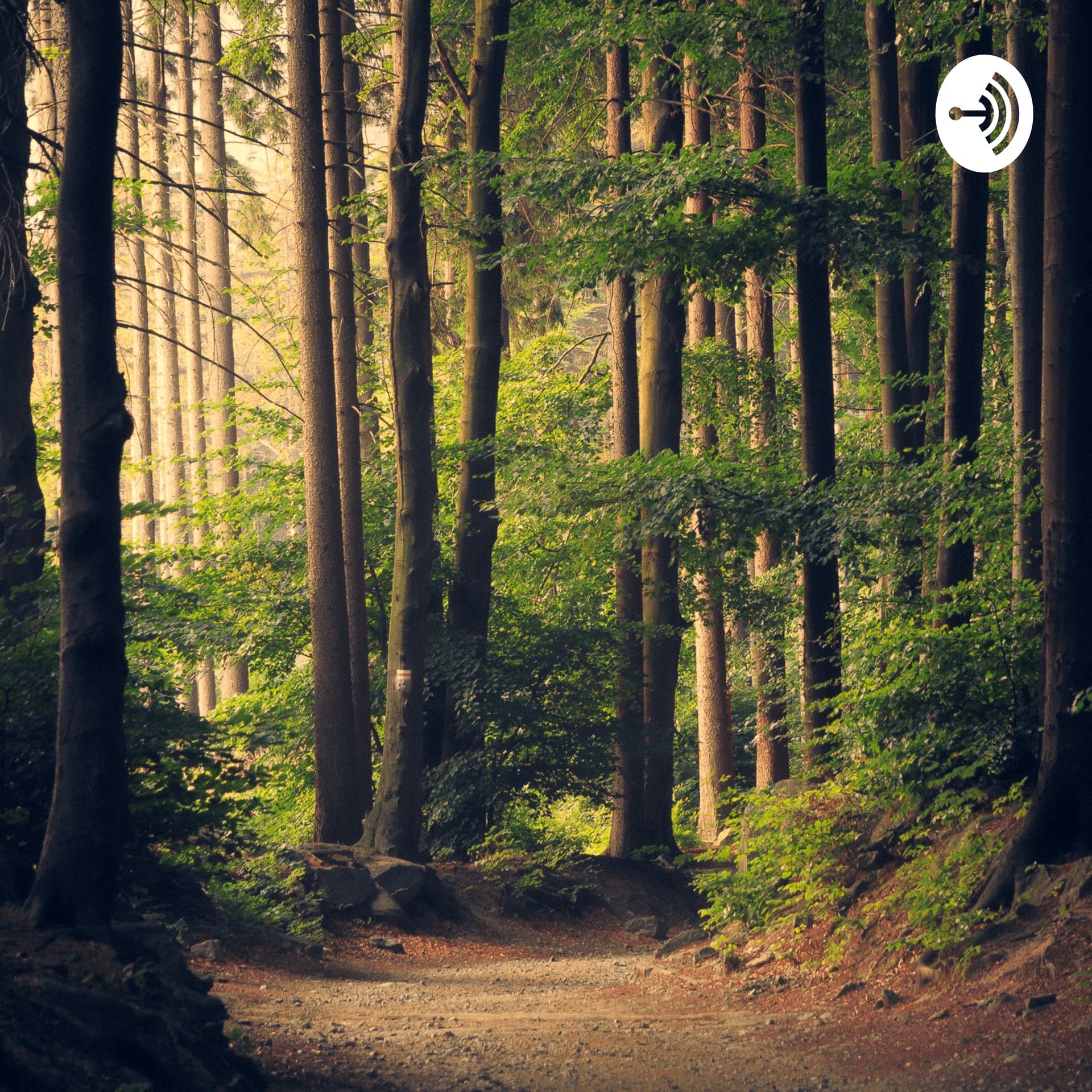 Sunanda Hulyalkar - Podcasts