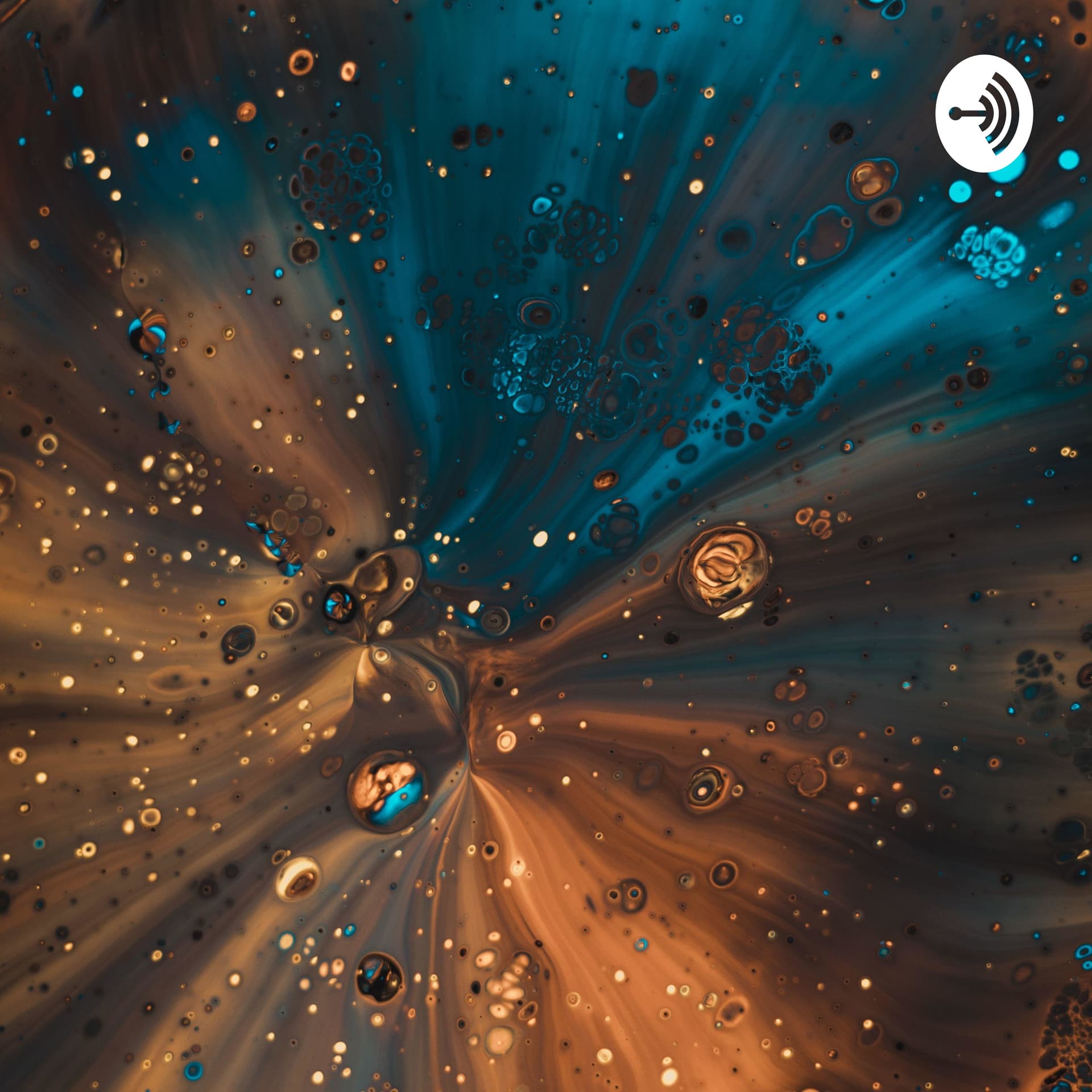 Healing the Racial Divide - Podcasts