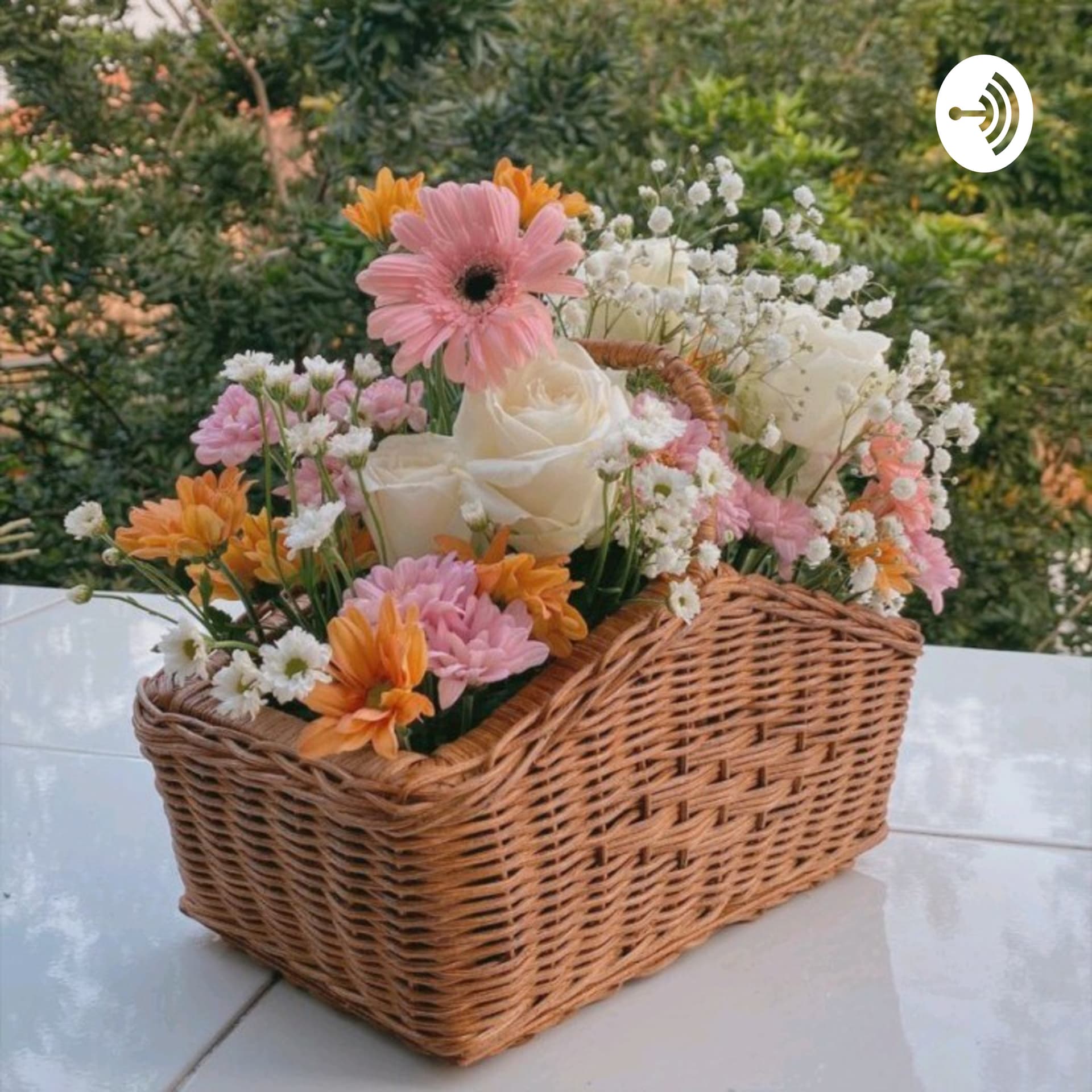 Celoteh Sebelum Tidur - Podcasts