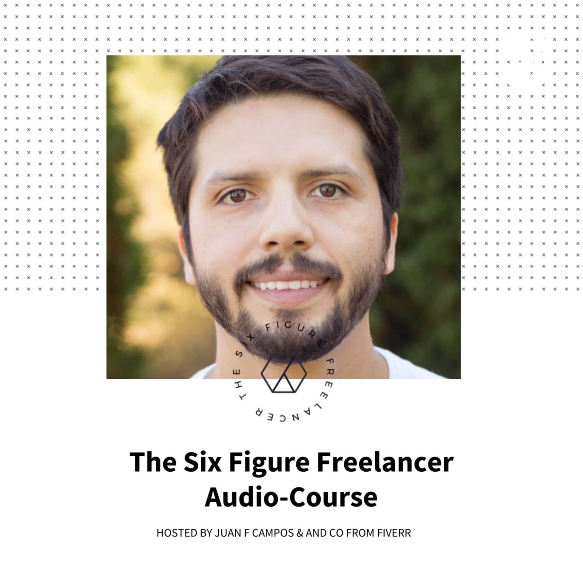 The Six Figure Freelancer Audio-Course - Podcasts