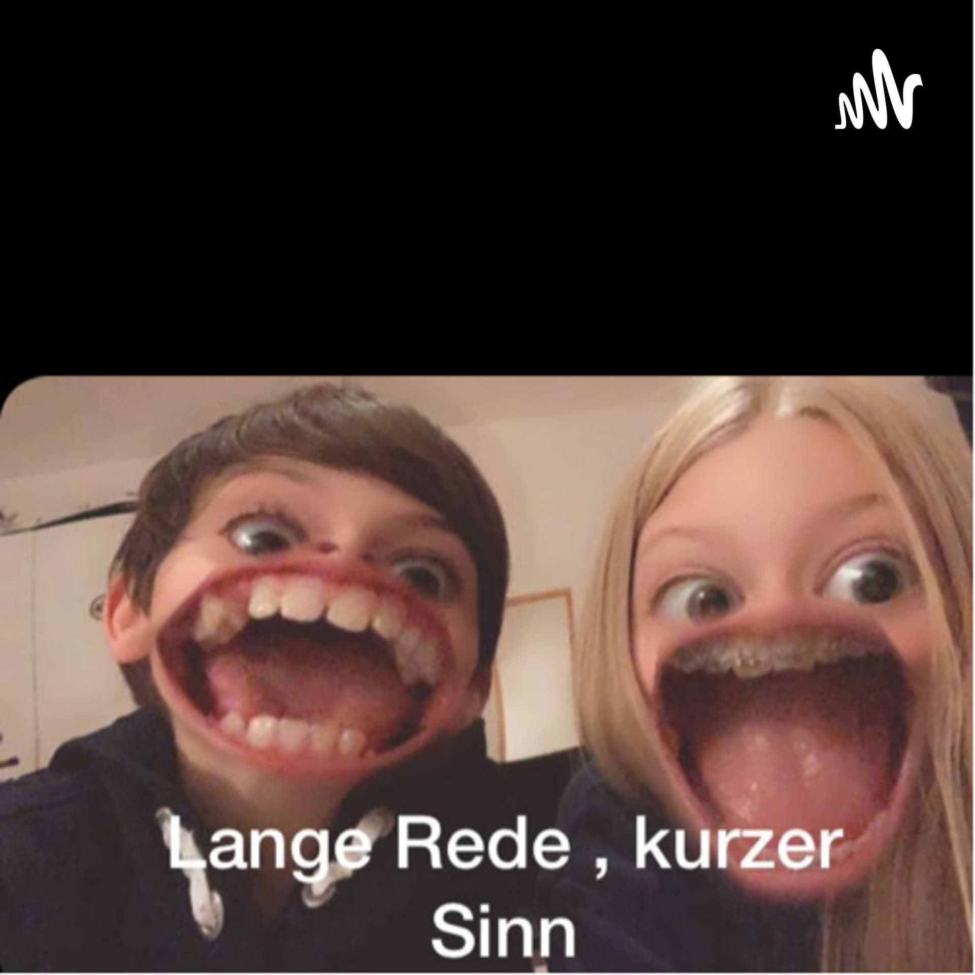 Lange Rede kurzer Sinn - Podcasts