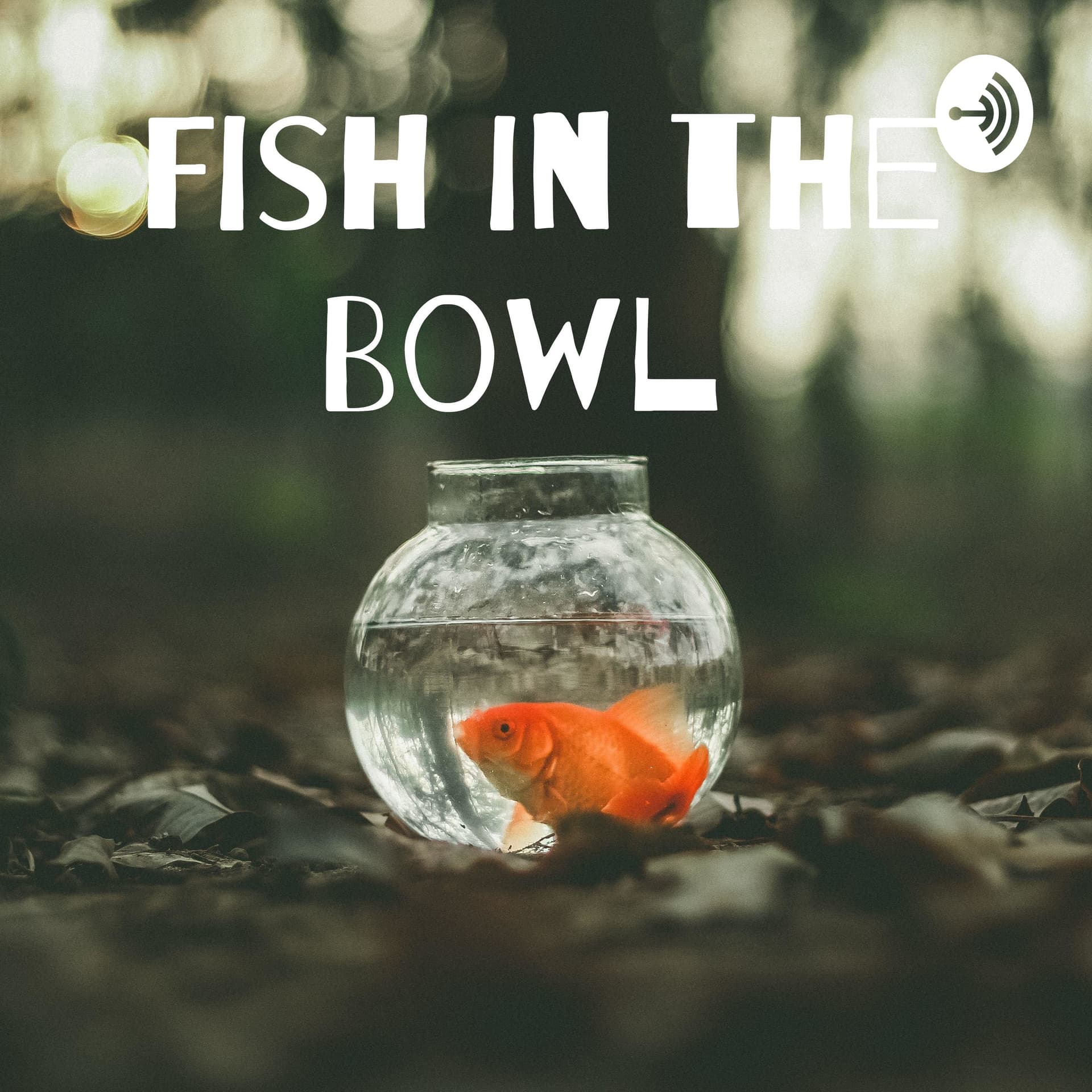 Fish In the Bowl - Podcasts